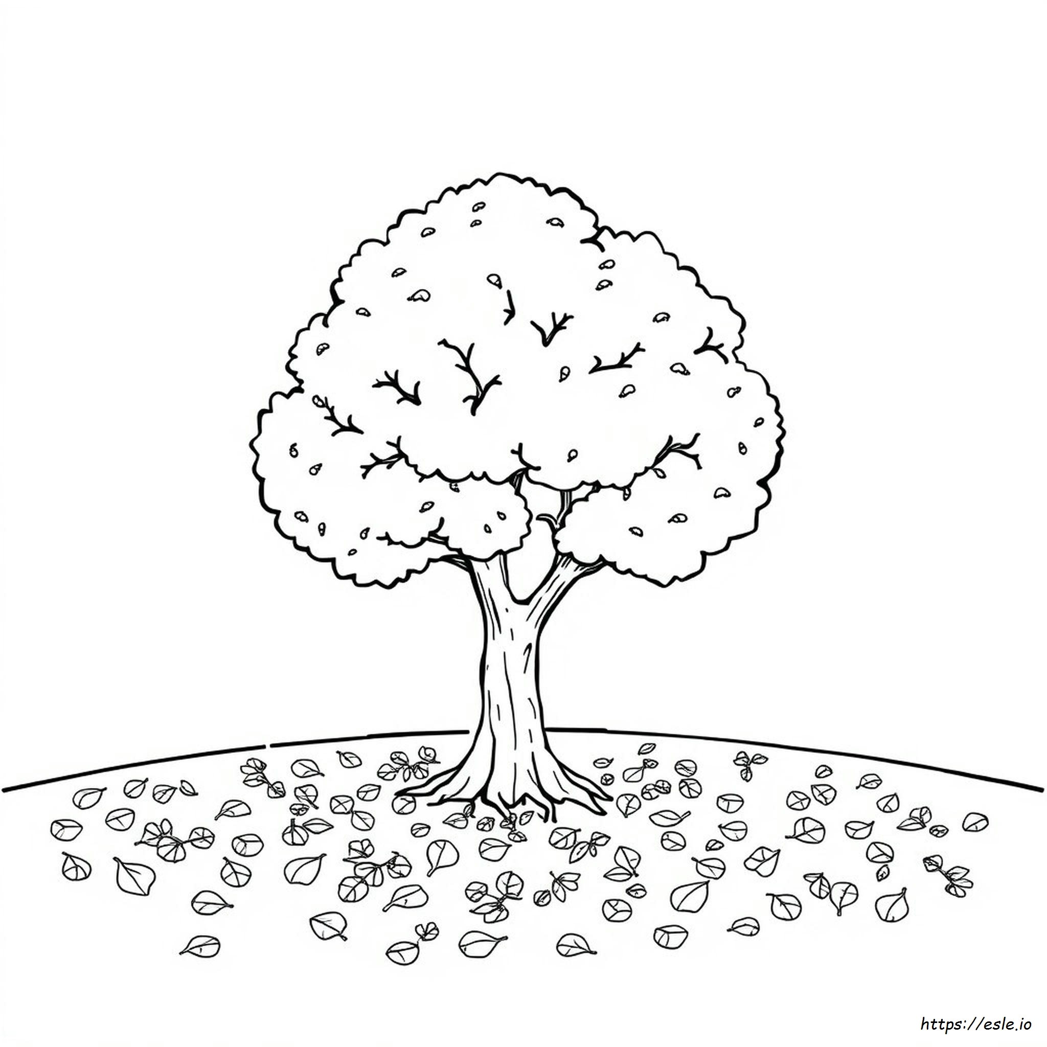 Alberi Autunnali Da Colorare Gratis