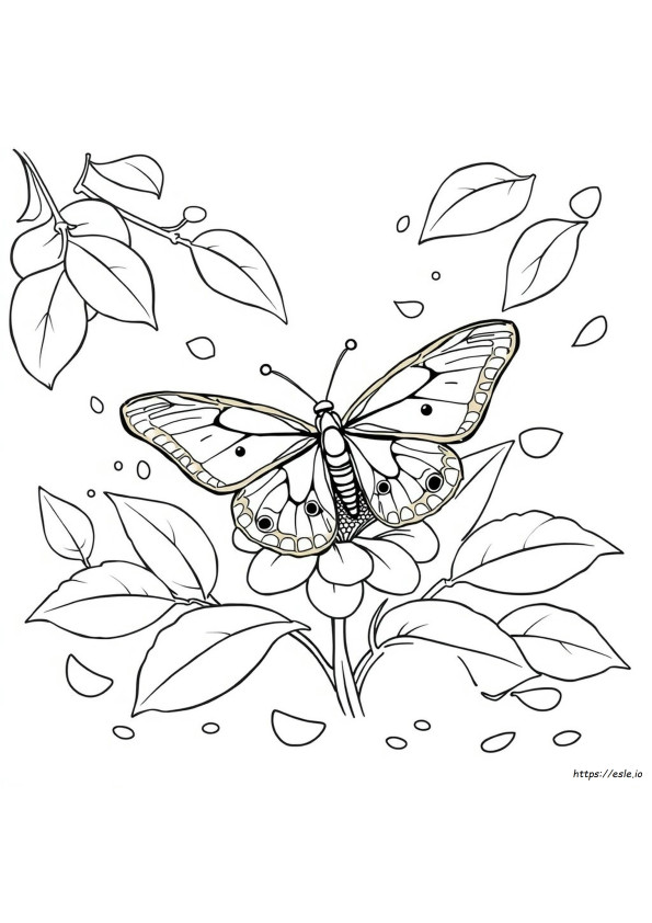 Gambar Mewarnai Kupu-Kupu Morpho