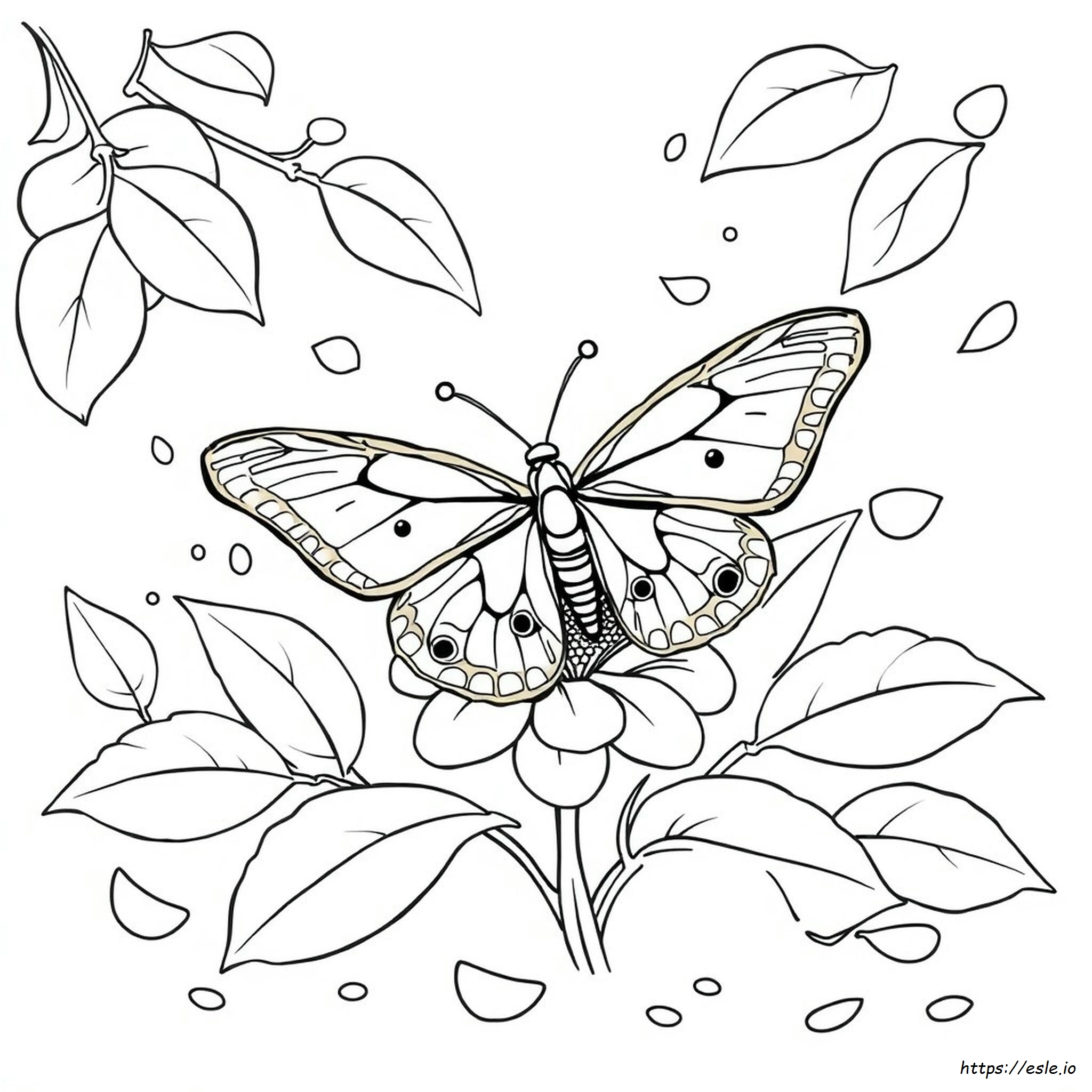 Pagina Da Colorare Farfalla Morpho