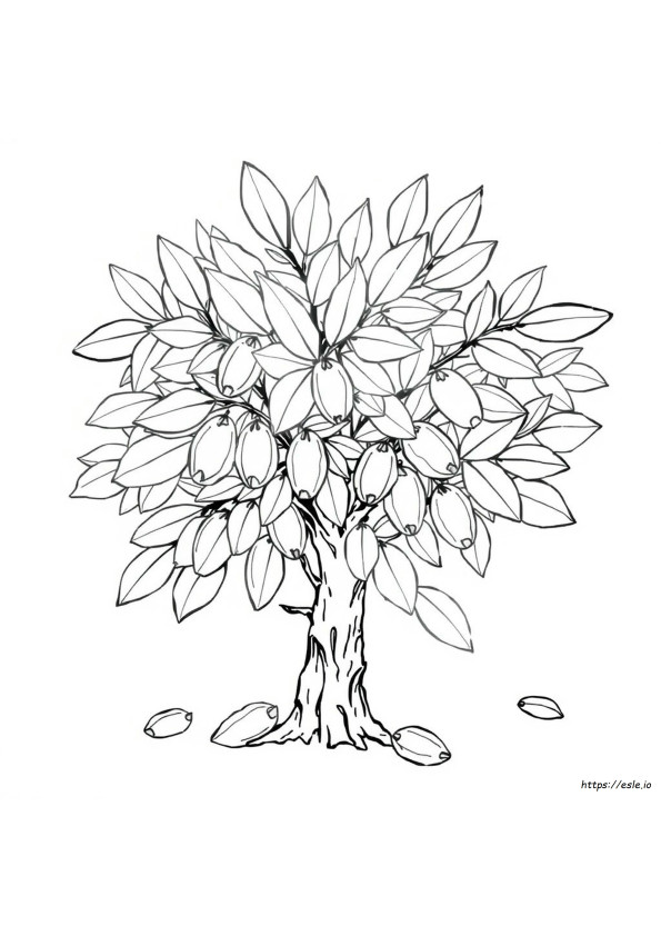 Almond Coloring Page