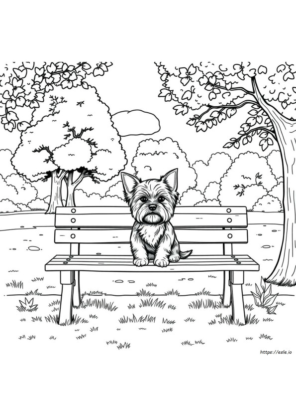 Gambar Mewarnai Anak Anjing Yorkie