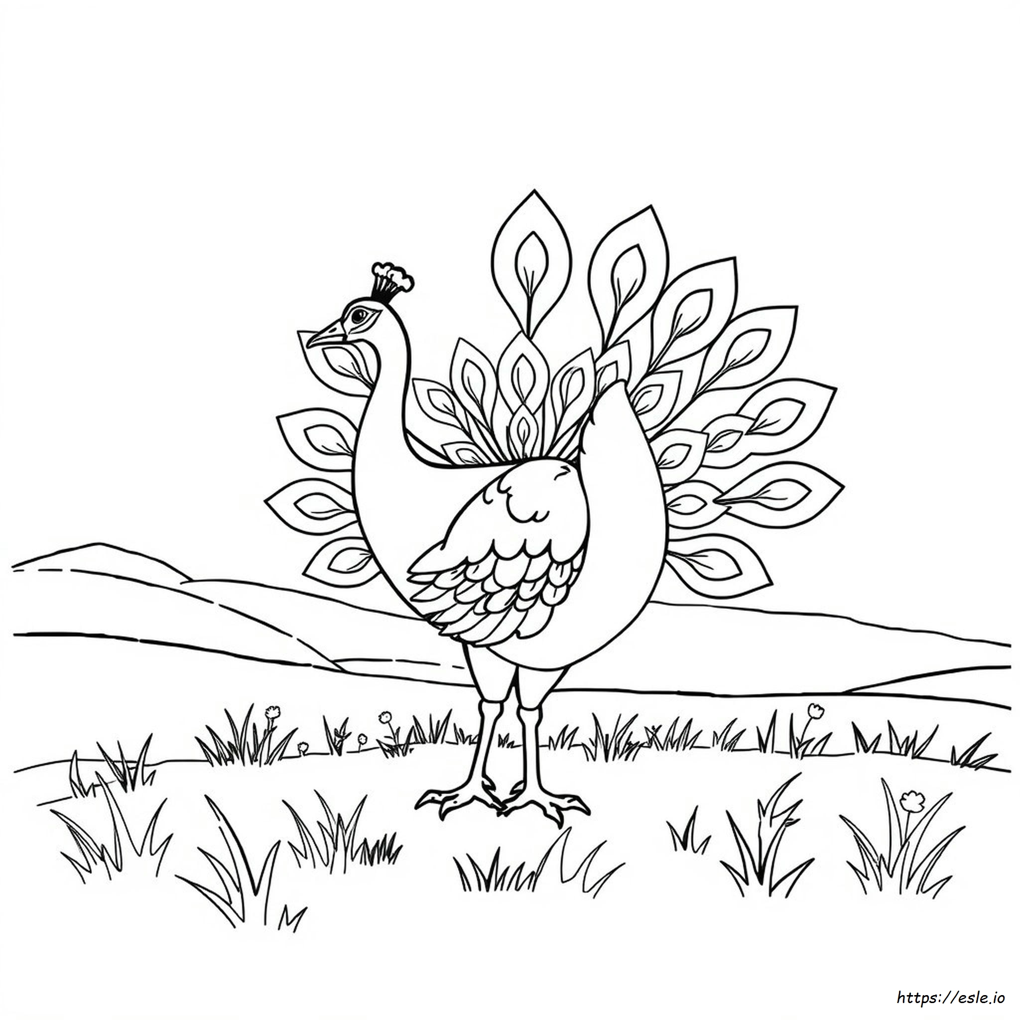 Colouring Peacock Outline