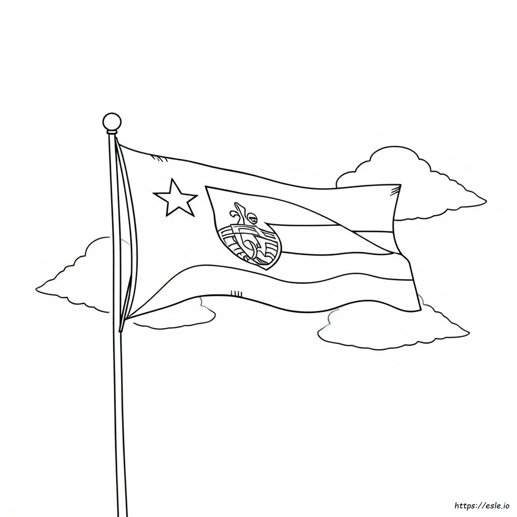 Bandera De Costa Rica Para Colorear