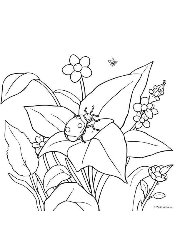 Disegni Di Insetti Da Colorare Pdf