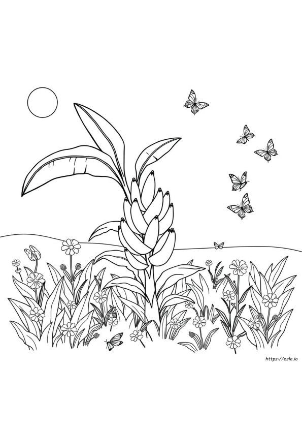 Coloriages Jardin Banban
