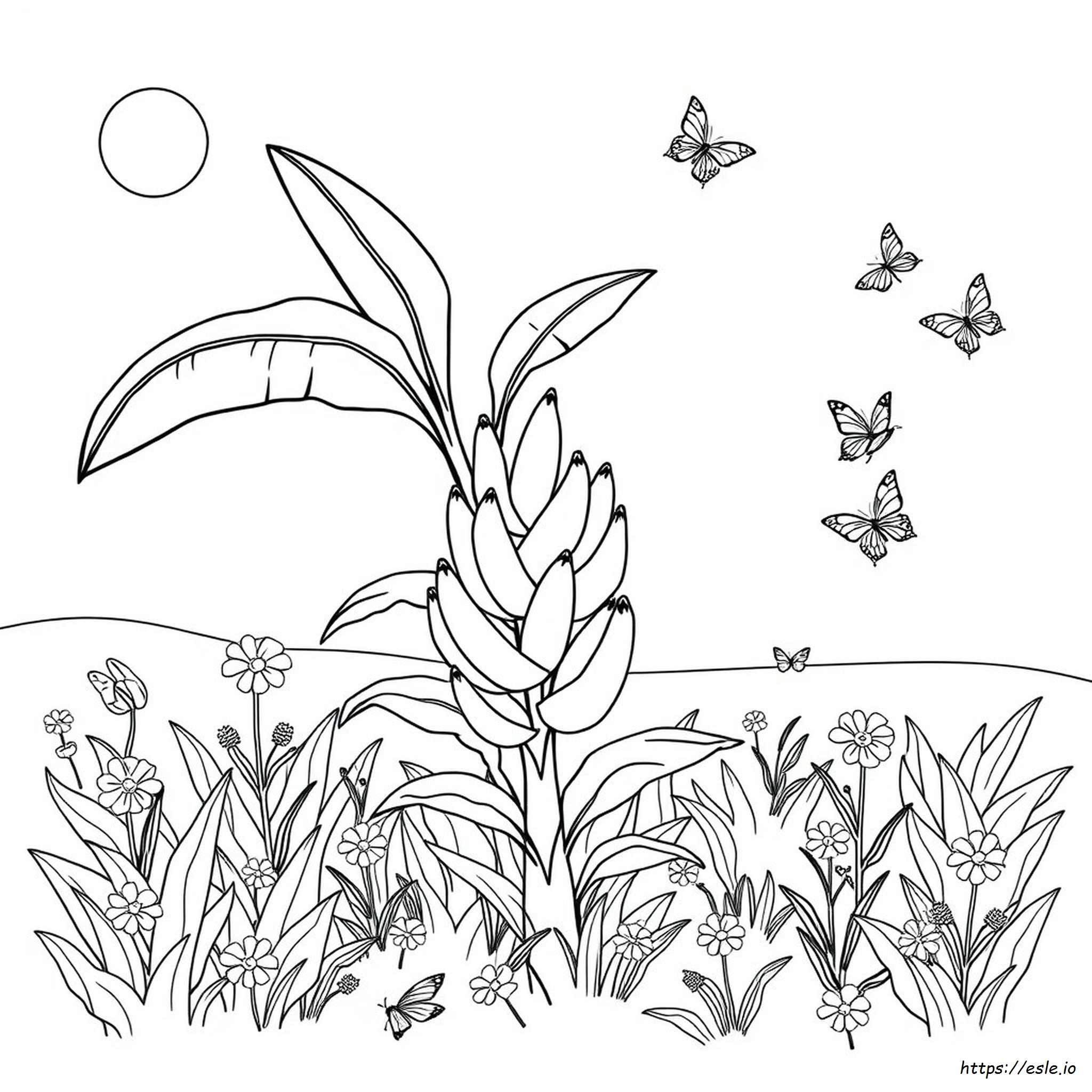 Pagine Da Colorare Giardino Banban