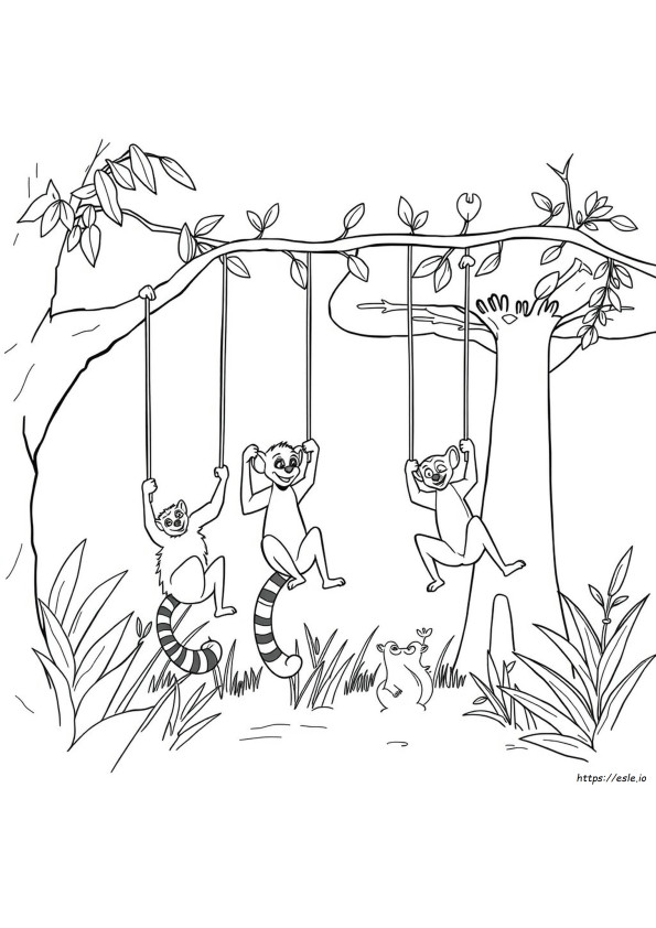 Madagaskar Ausmalbilder