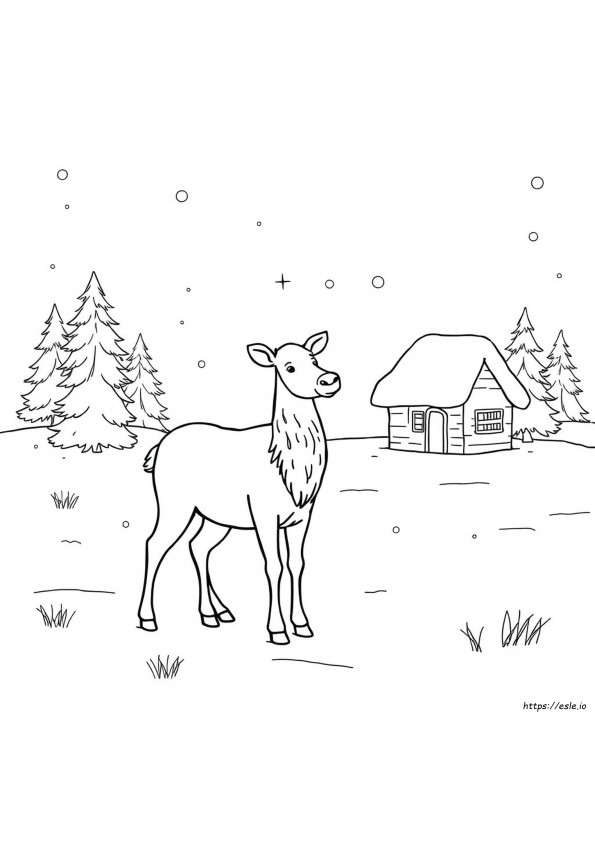 トナカイのぬりえ