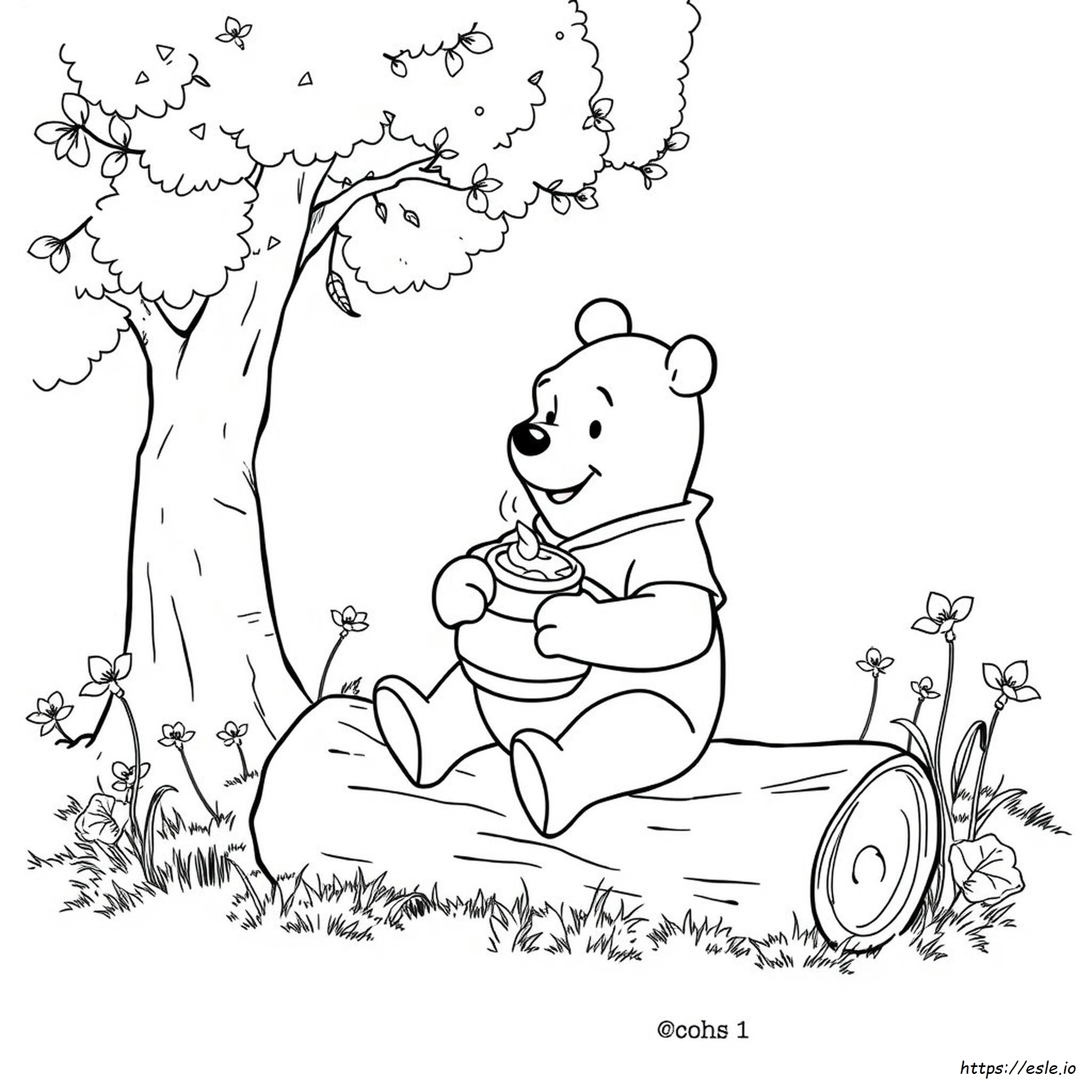 Winnie Puuh Ausmalbilder Für Erwachsene