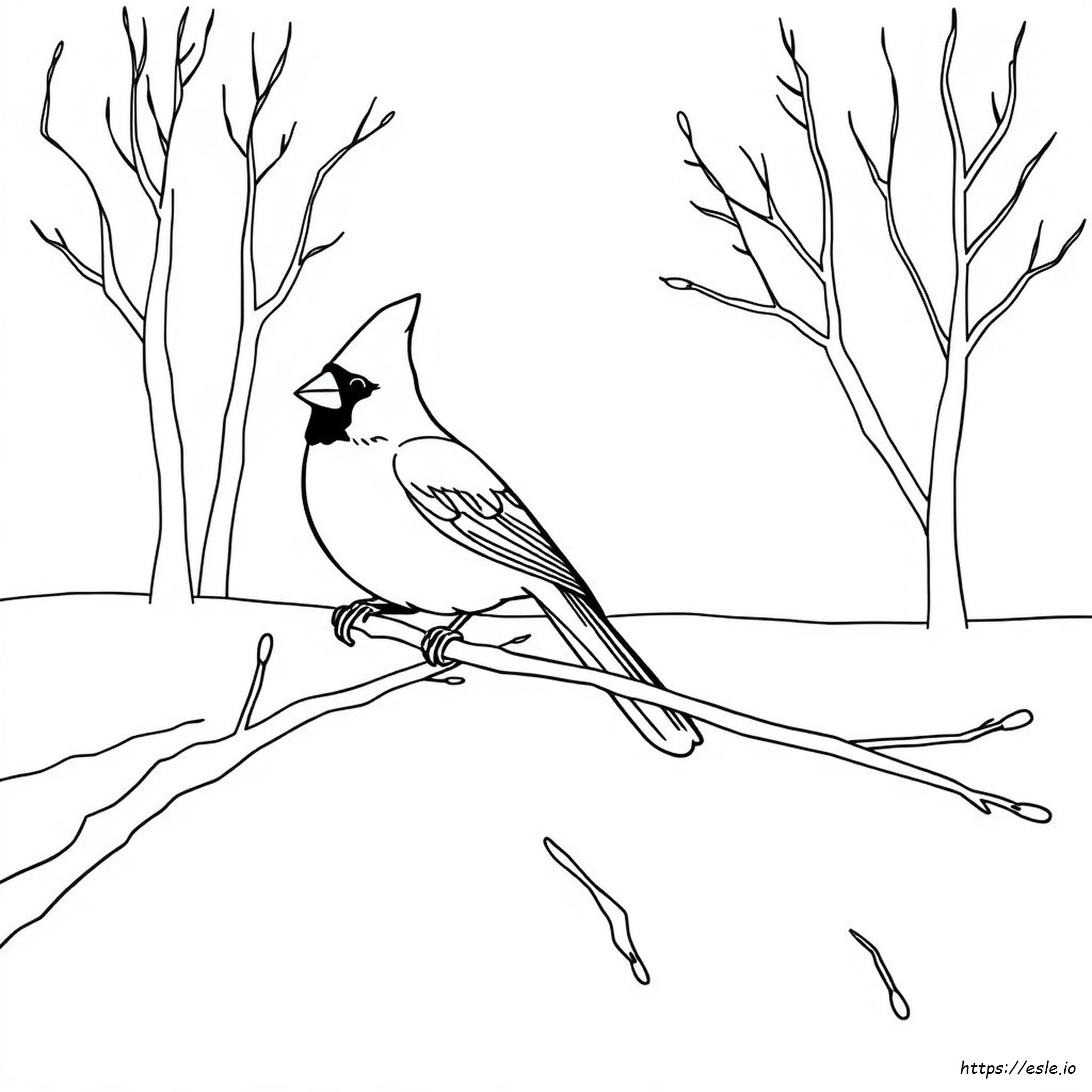 Coloring Pages Of Cardinals