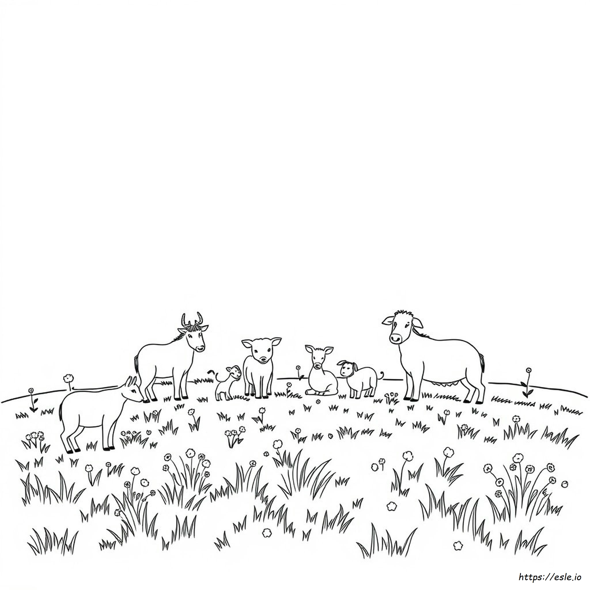 Animali Da Colorare E Stampare