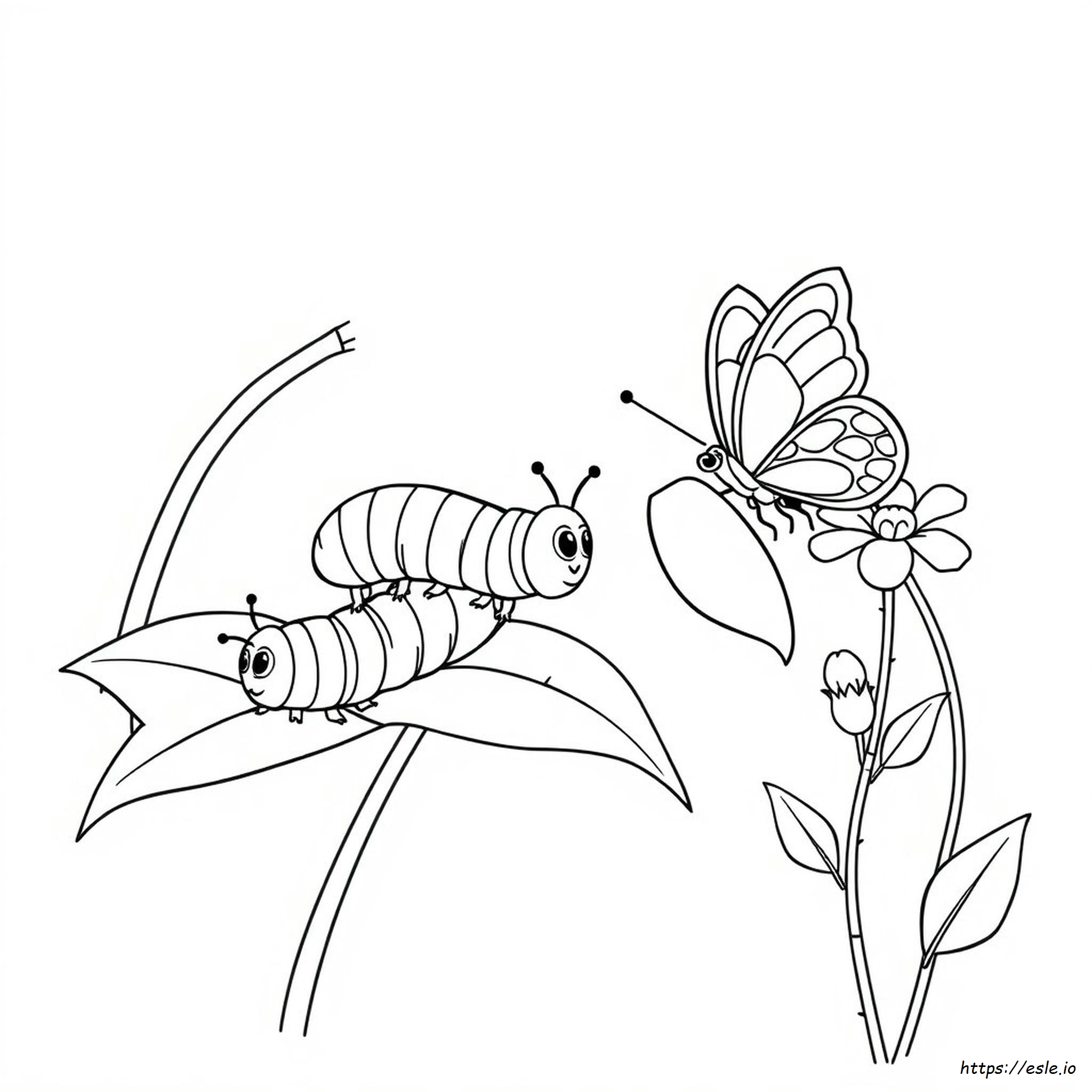 Metamorphose Ausmalbilder