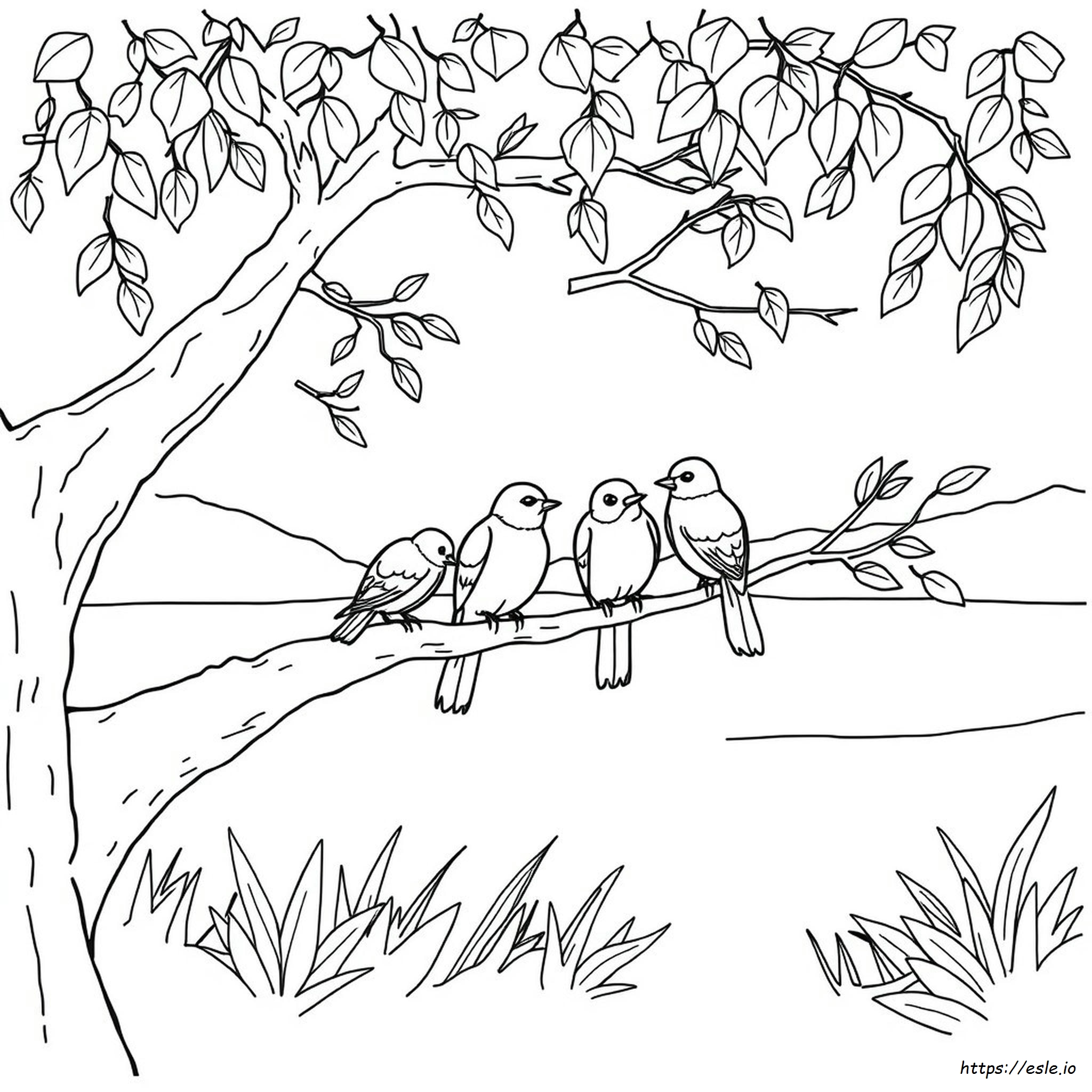 Dibujos De Pájaros Para Colorear