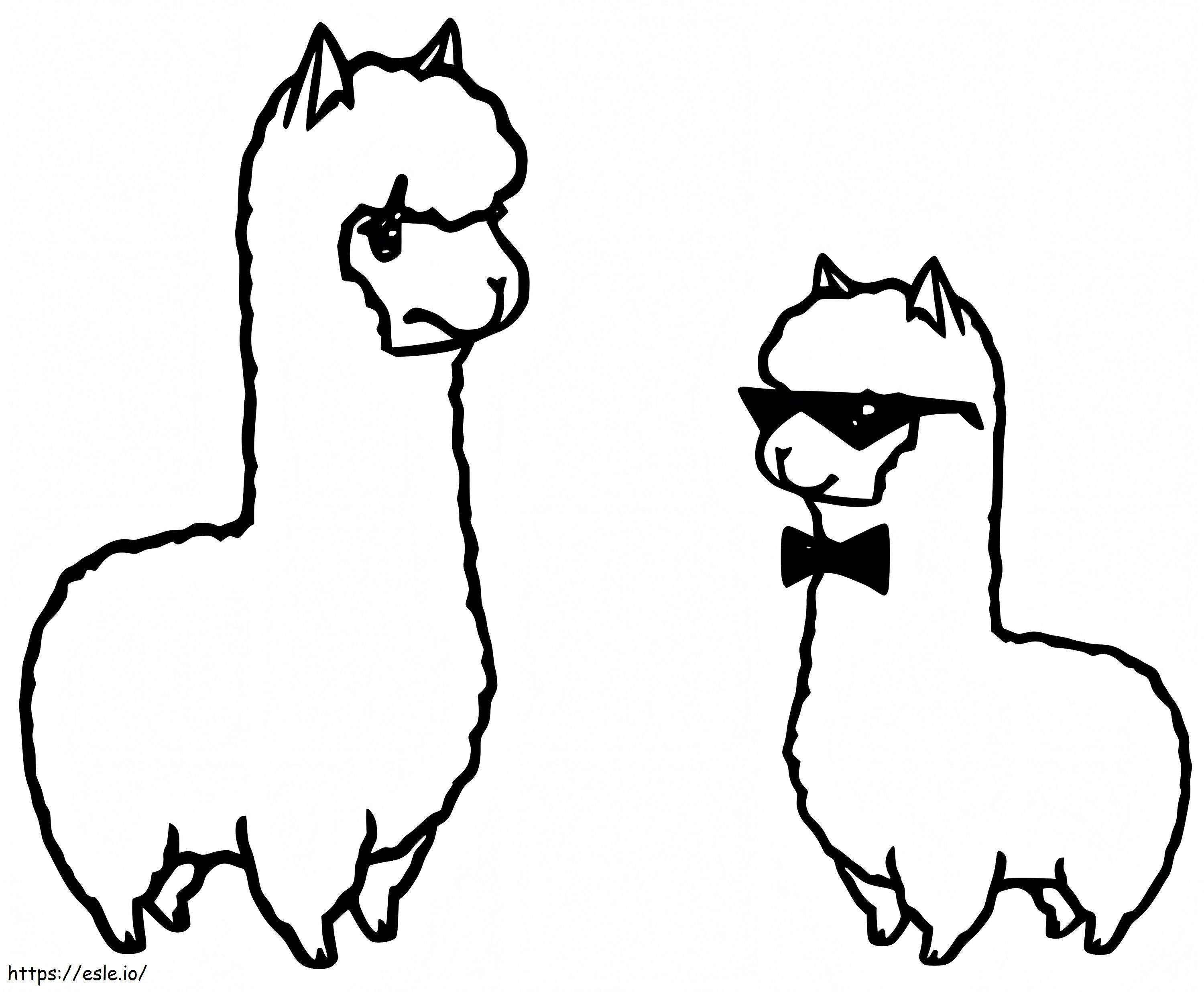Lama și Alpaca de colorat