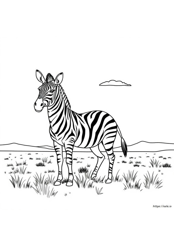 Yetişkinler Için Zebra Boyama Sayfaları