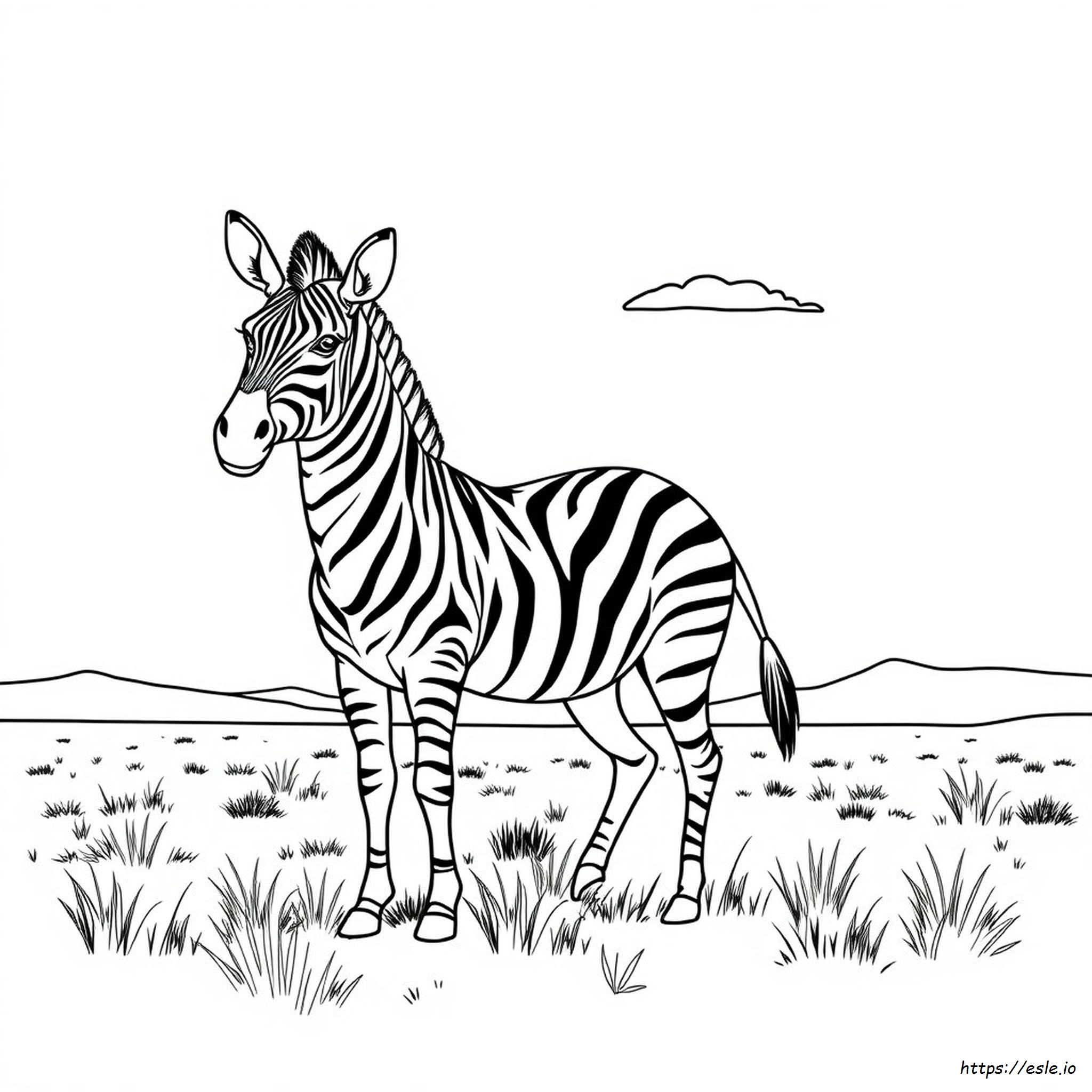 Zebra Coloring Pages For Adults