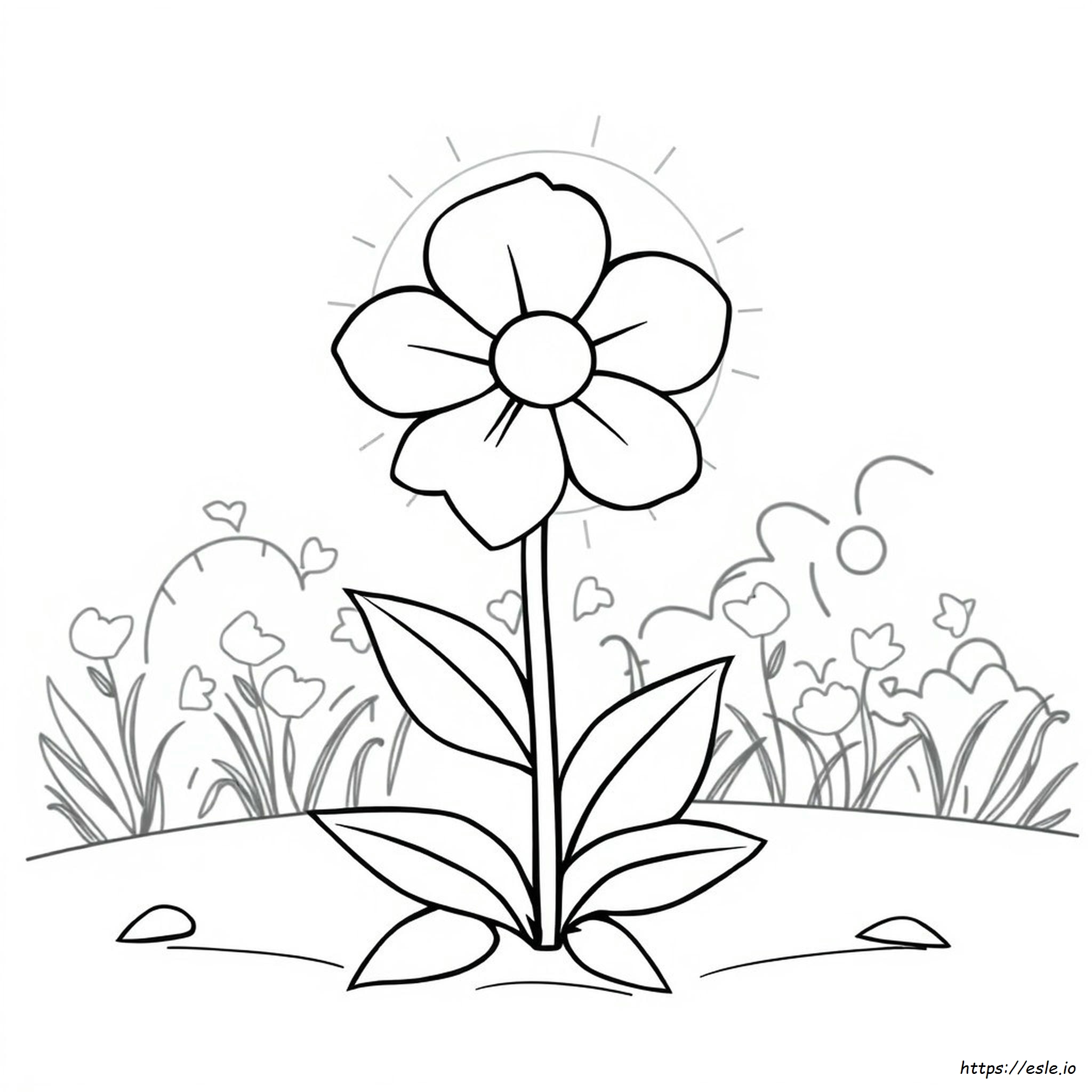 Immagini Di Fiori Da Colorare