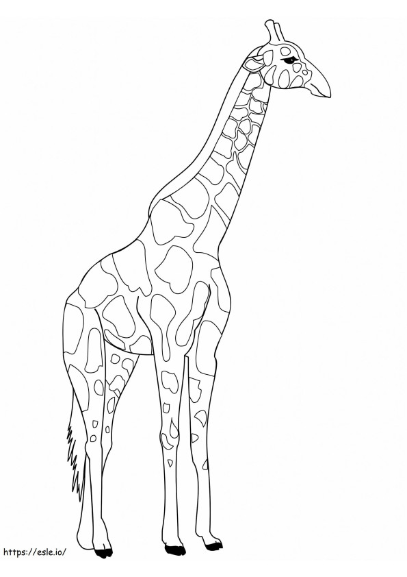 Giraffe afdrukbare kleurplaat