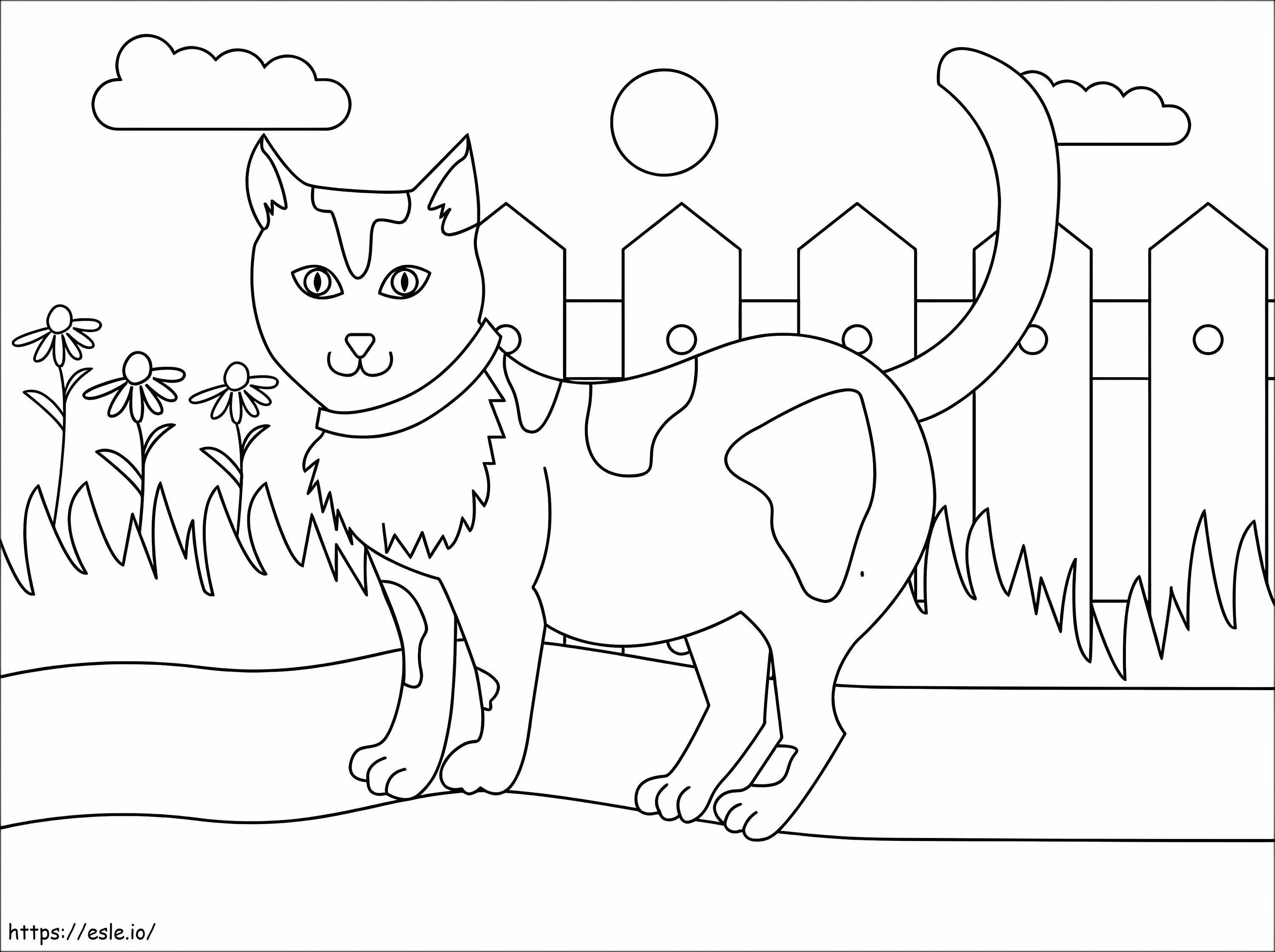 Kot W Pobliżu Ogrodzenia kolorowanka
