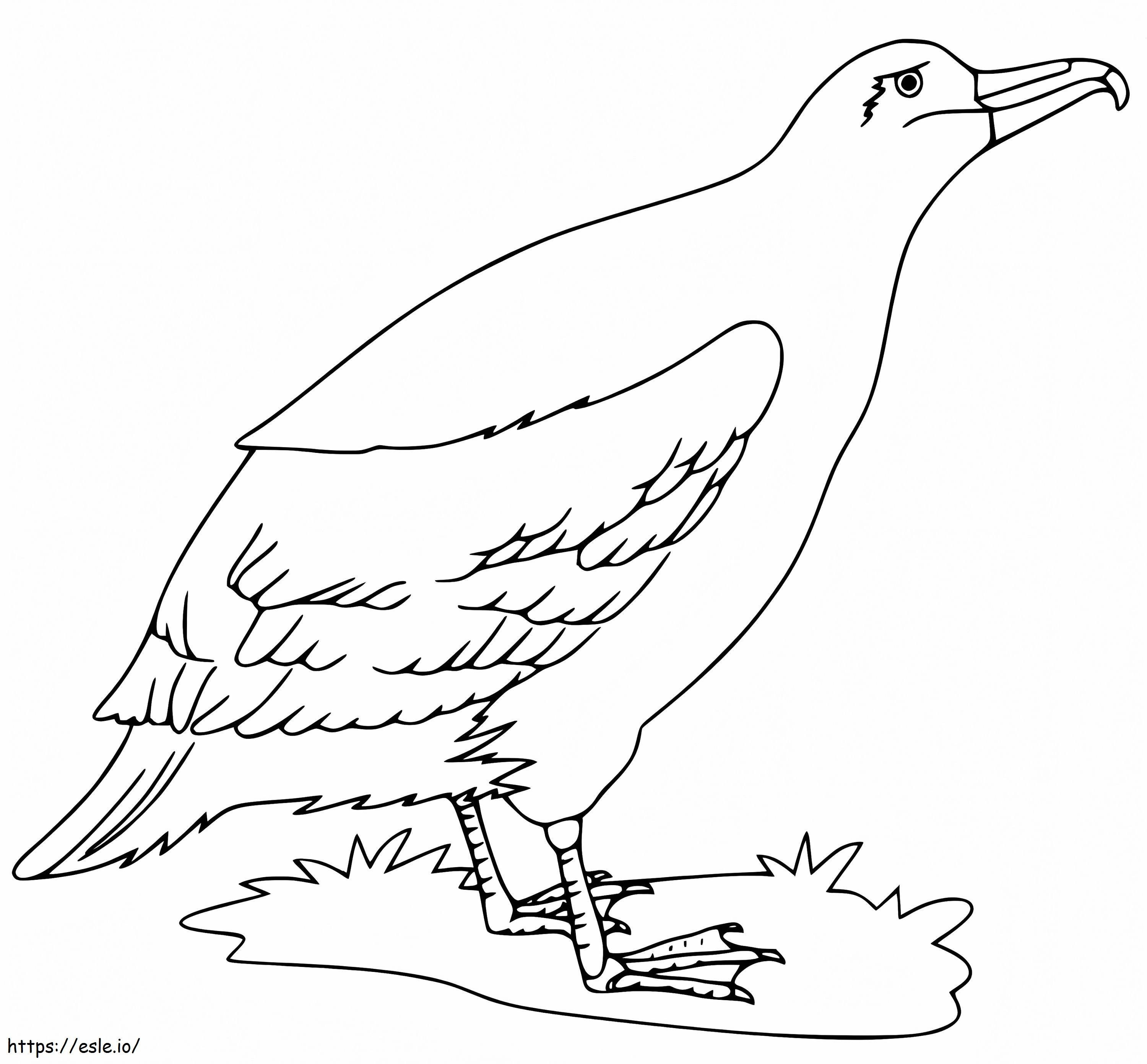 Albatros en tierra para colorear
