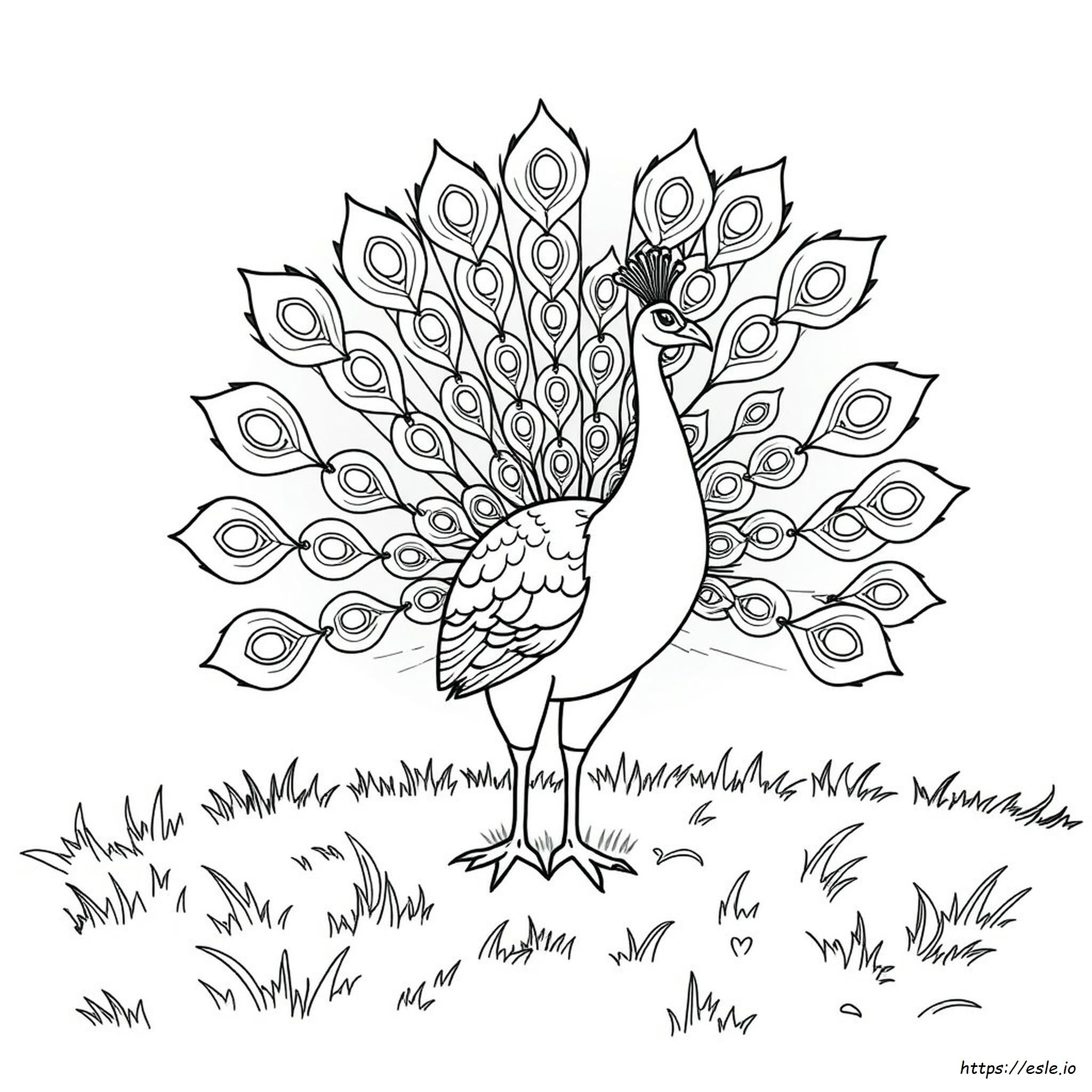 Beautiful Peacock Coloring Pages