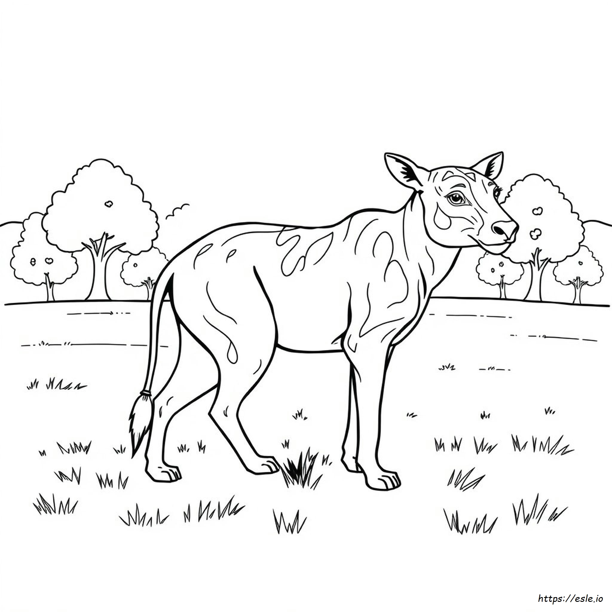 Animal Anatomy Coloring Pages