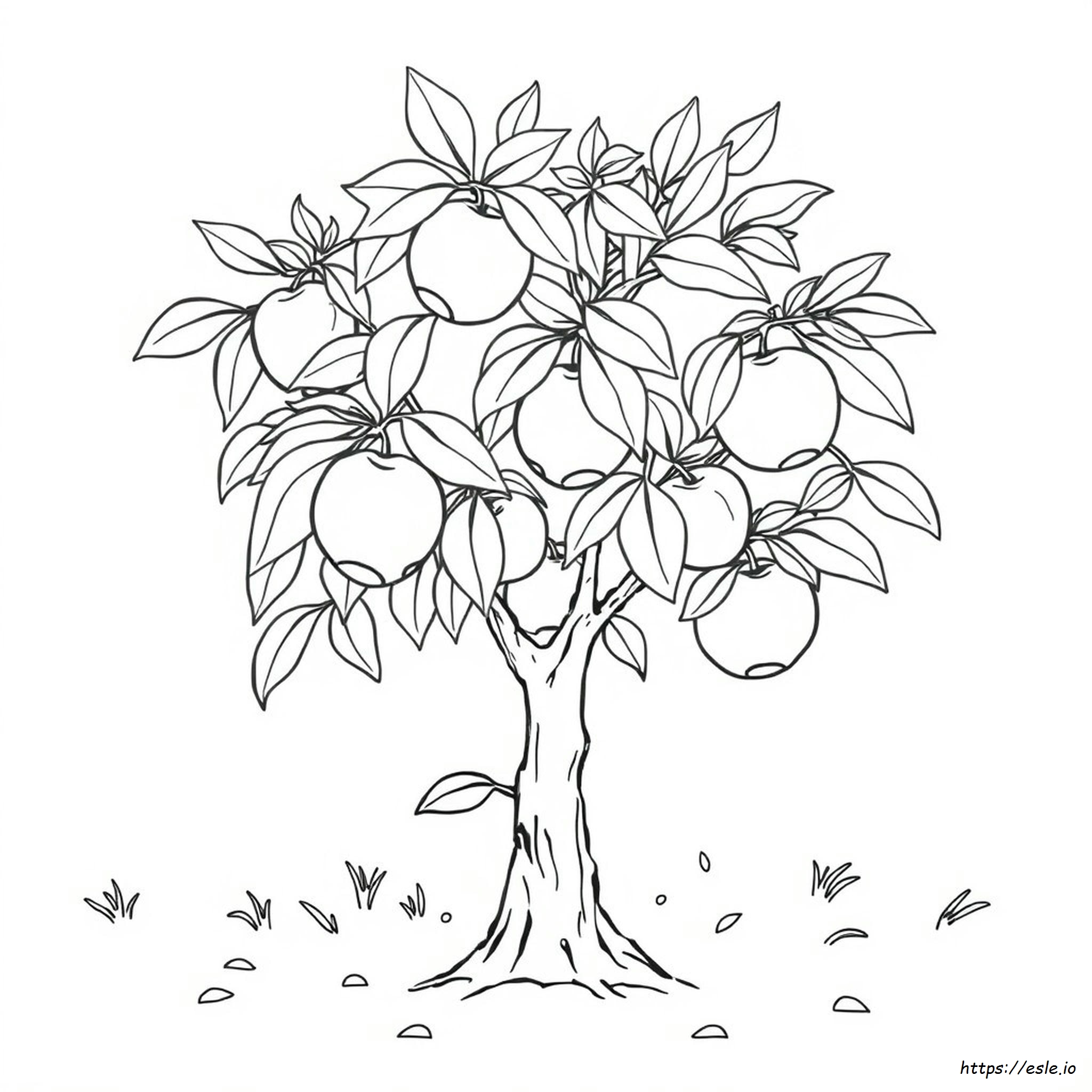 Albero Di Pesche Da Colorare
