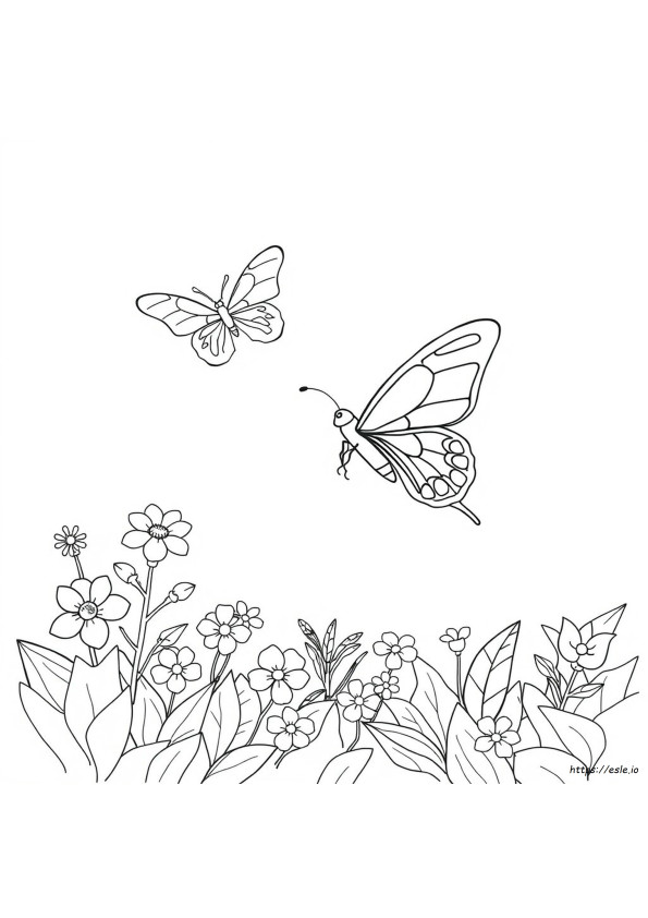 Encanto Kupu-Kupu Gambar Mewarnai