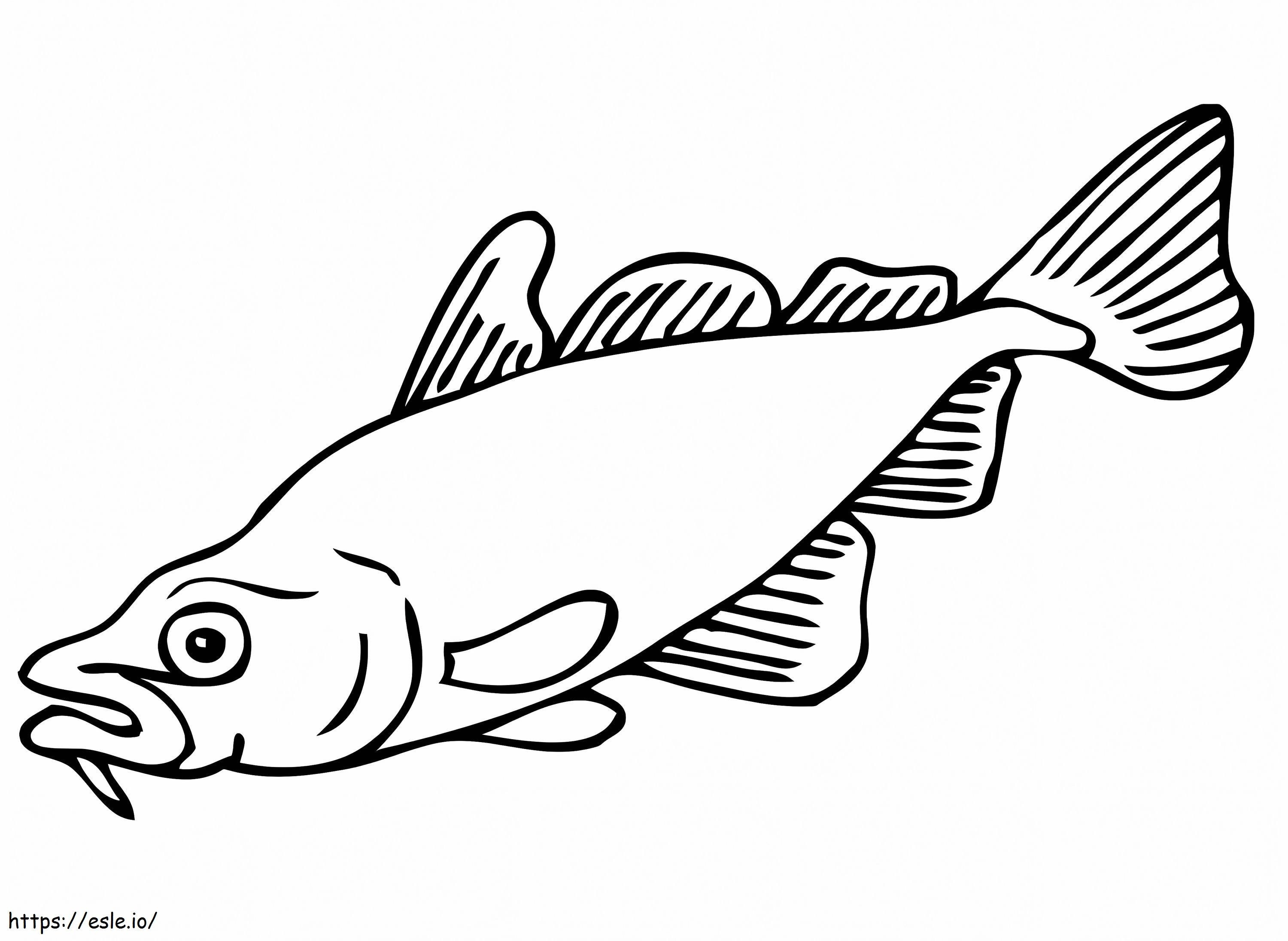 peixe carpa para colorir