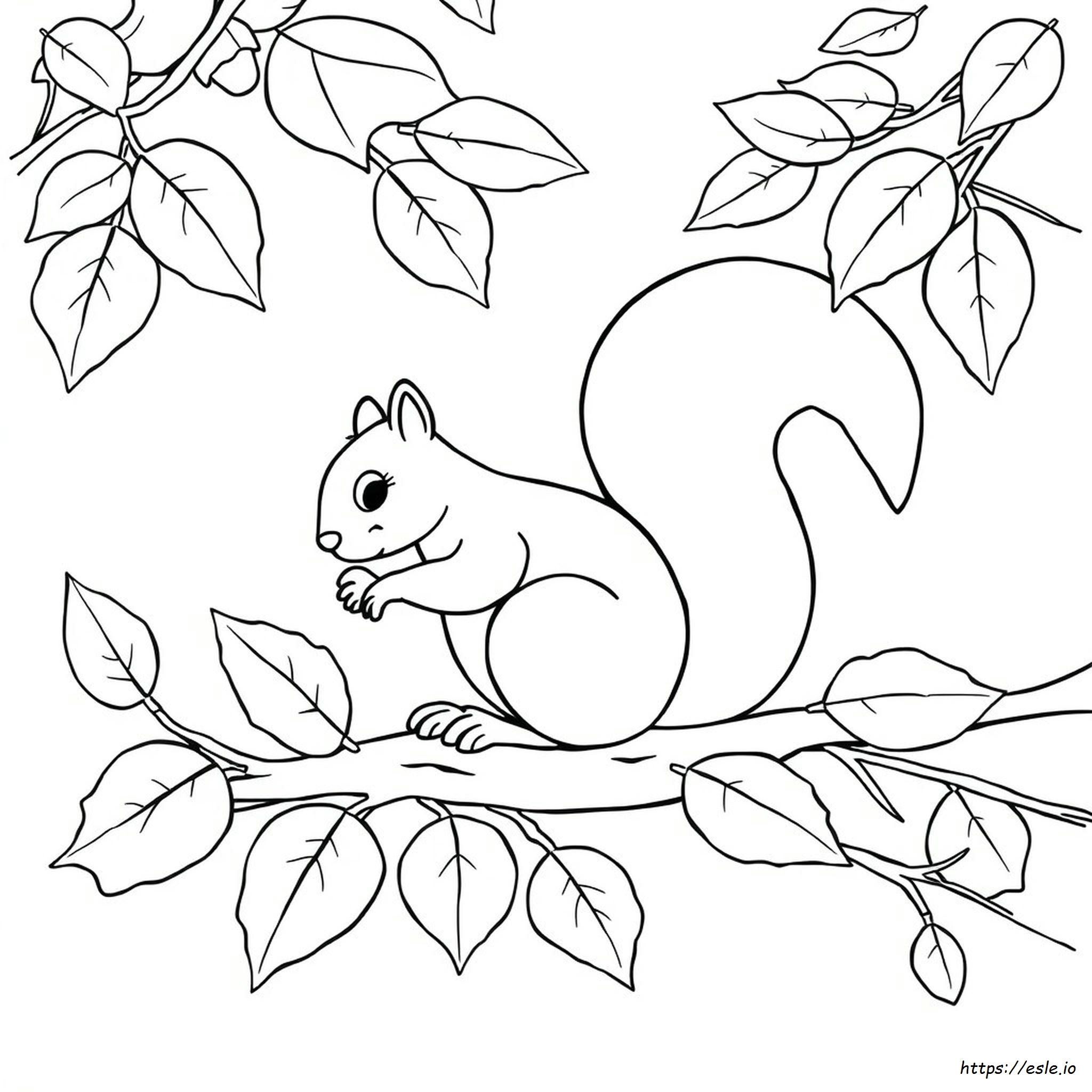 Coloring Pictures Of Squirrels