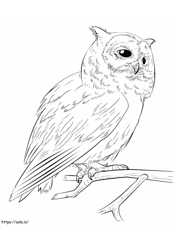Owl On Branch A4 coloring page