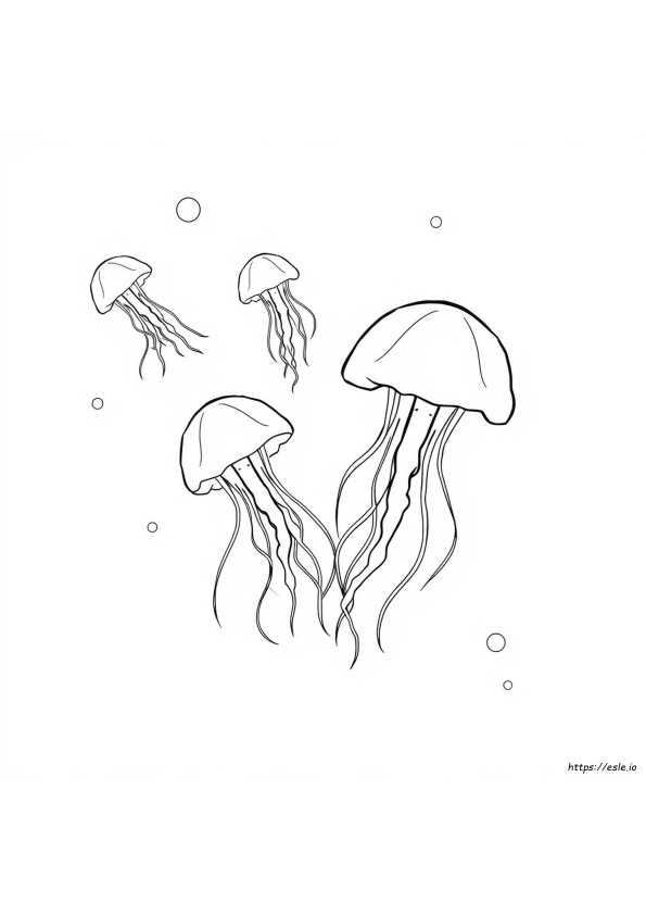 Jelly Coloring Page