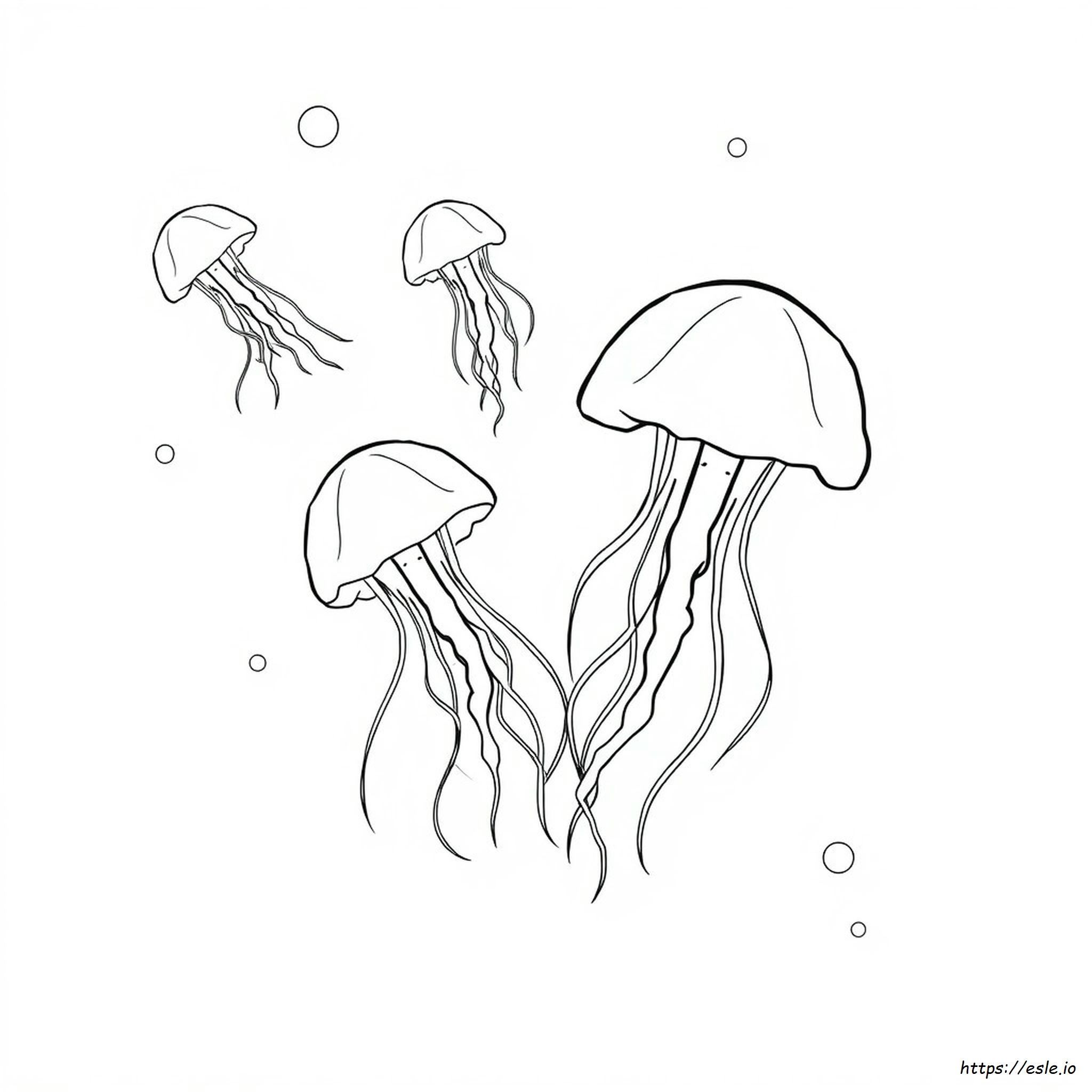 Jelly Coloring Page