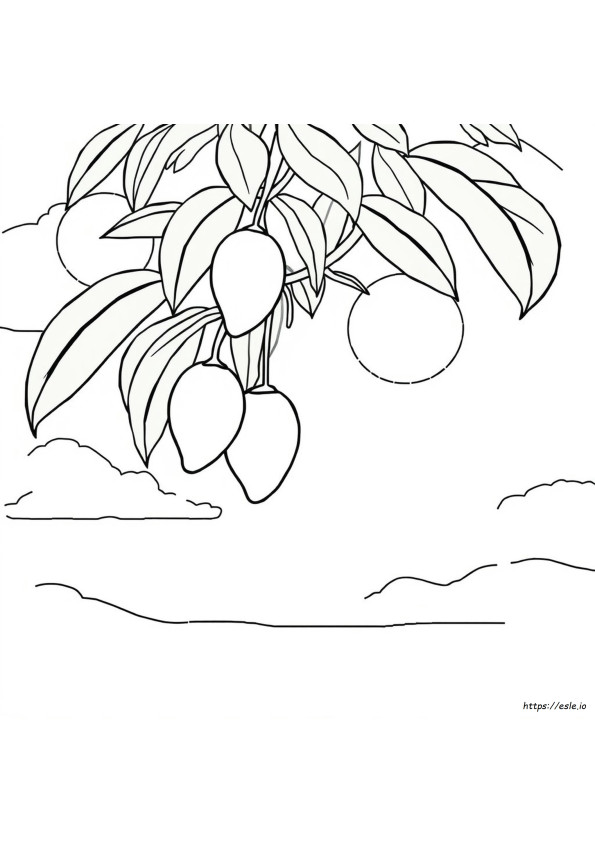 Mango Colouring Page