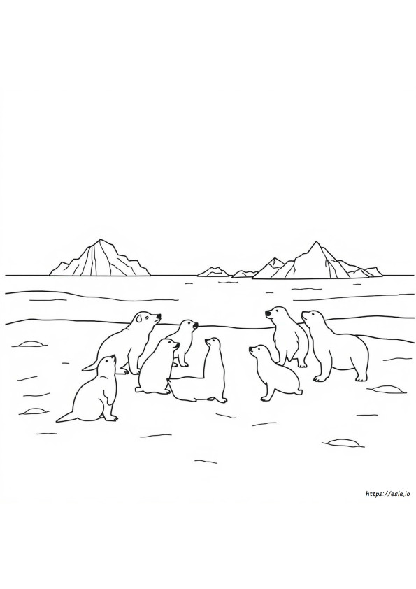 Desenhos De Animais Do Ártico Para Colorir Em Pdf