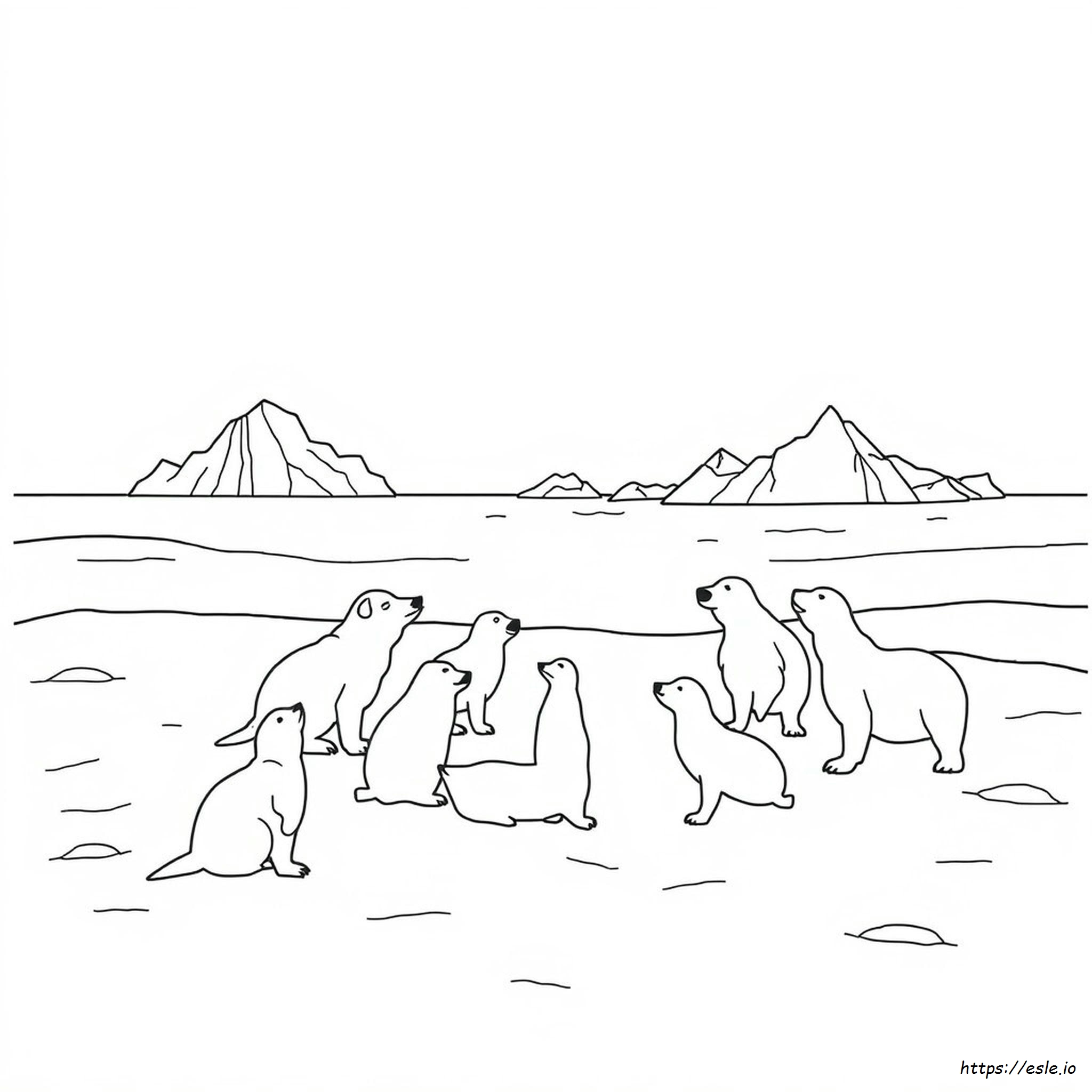 Arctic Animals Coloring Pages Pdf