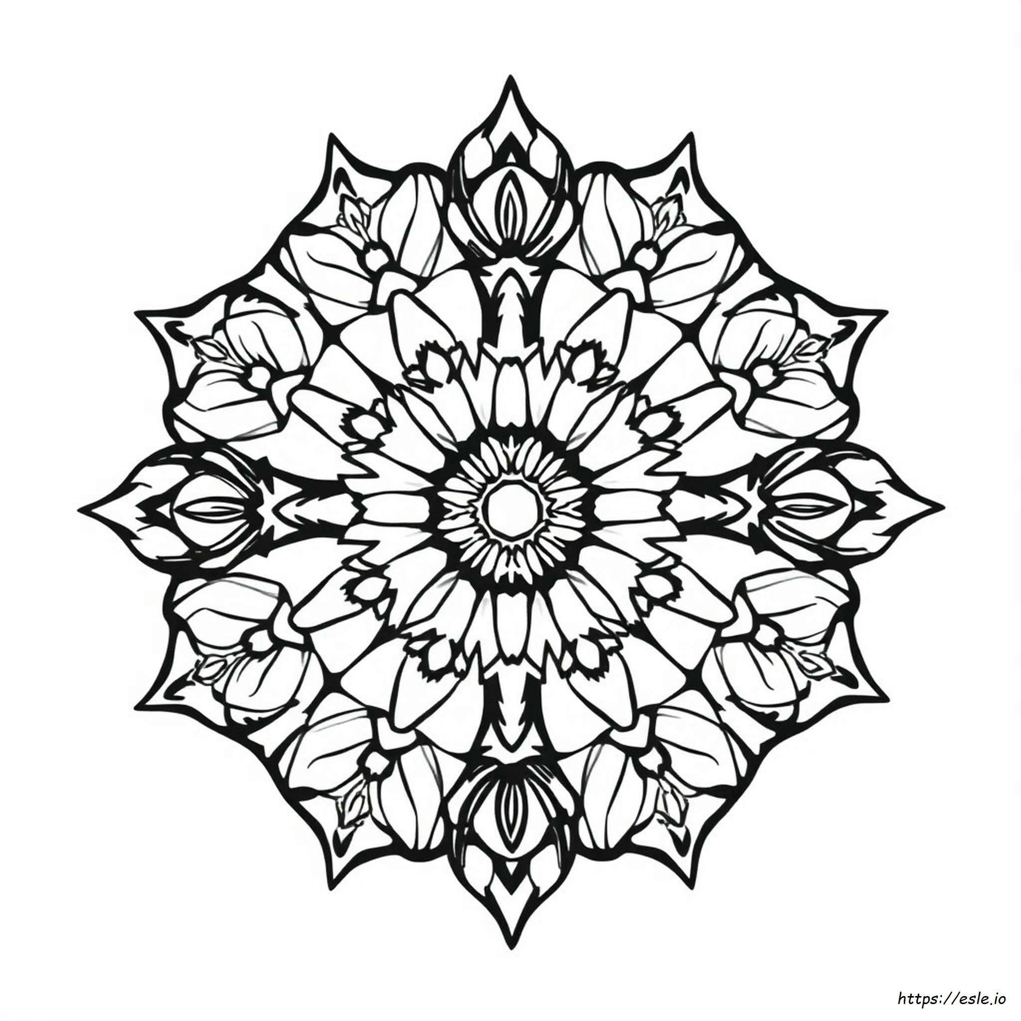 Animal Mandala Colouring In