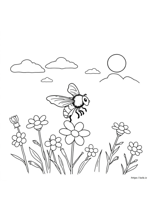 Disegni Di Mosche Carine Da Colorare