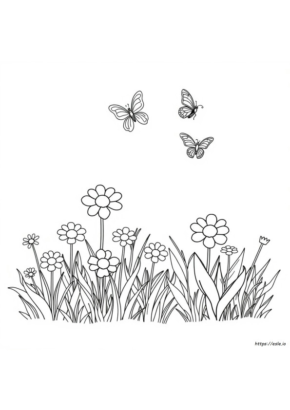 Images Of Colouring Pictures