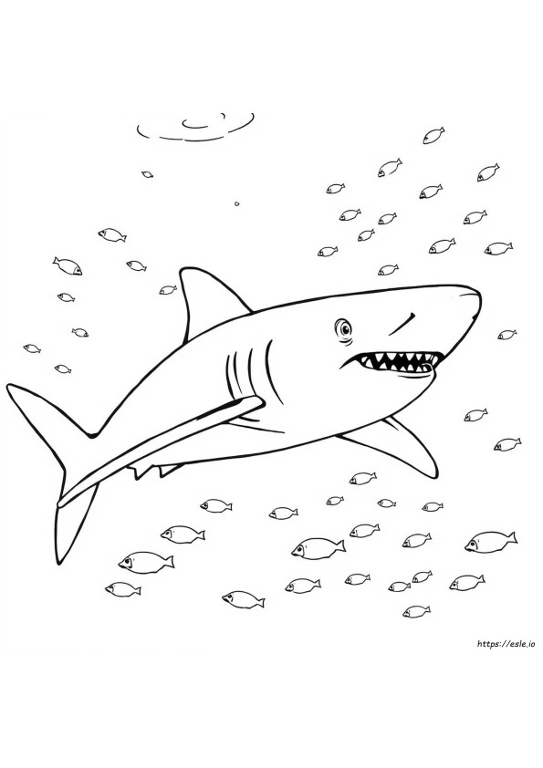 Coloring Pages Of A Great White Shark