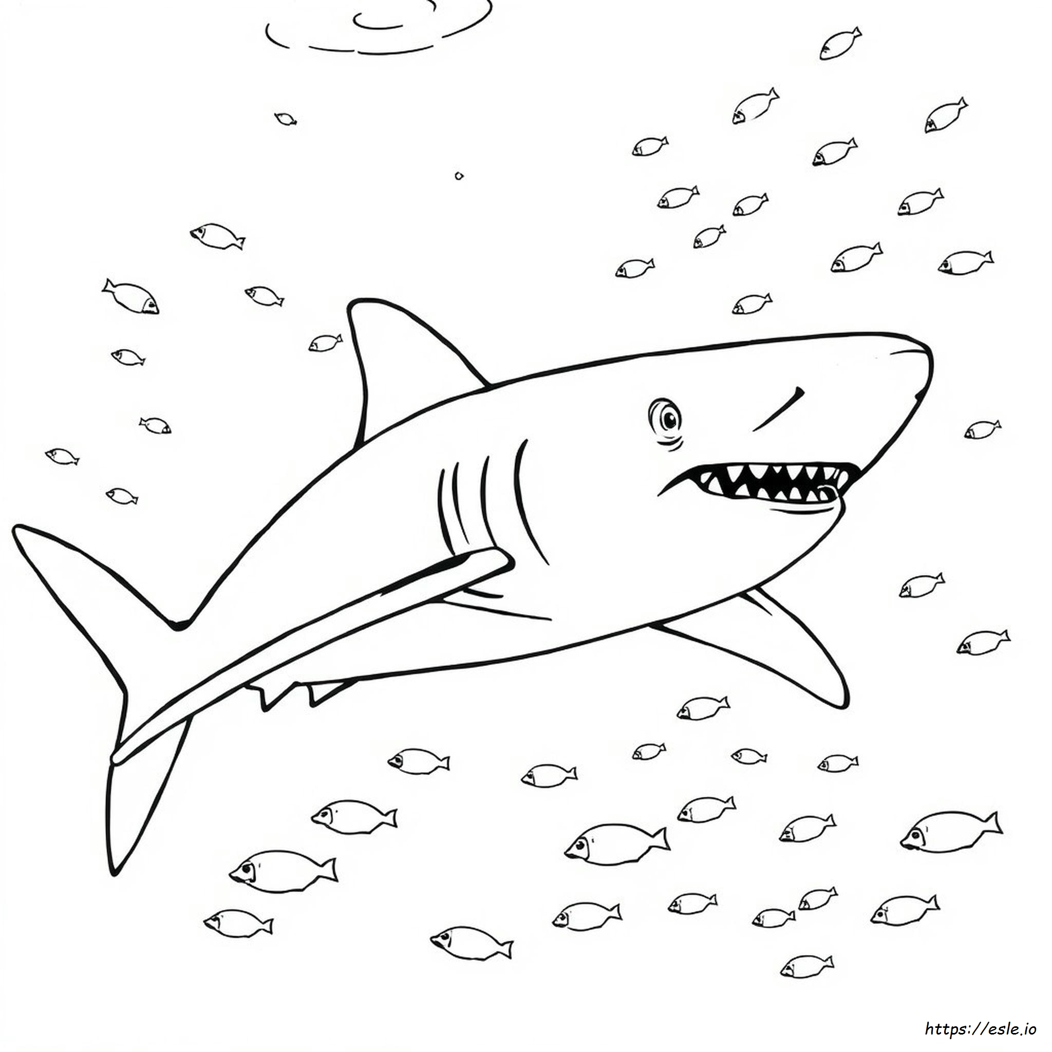 Dibujos Para Colorear De Un Gran Tiburón Blanco