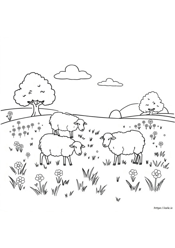 Coloriage Mouton