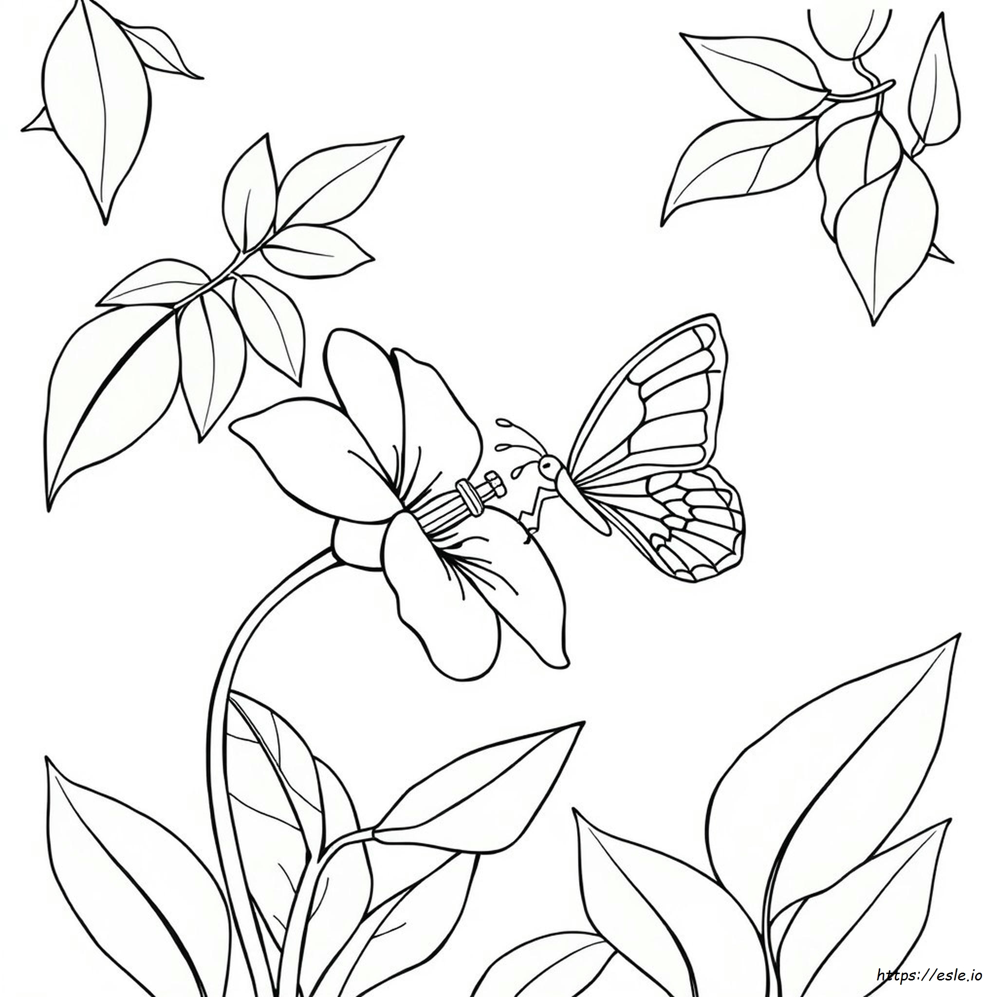 Fiori E Farfalle Semplici Da Colorare