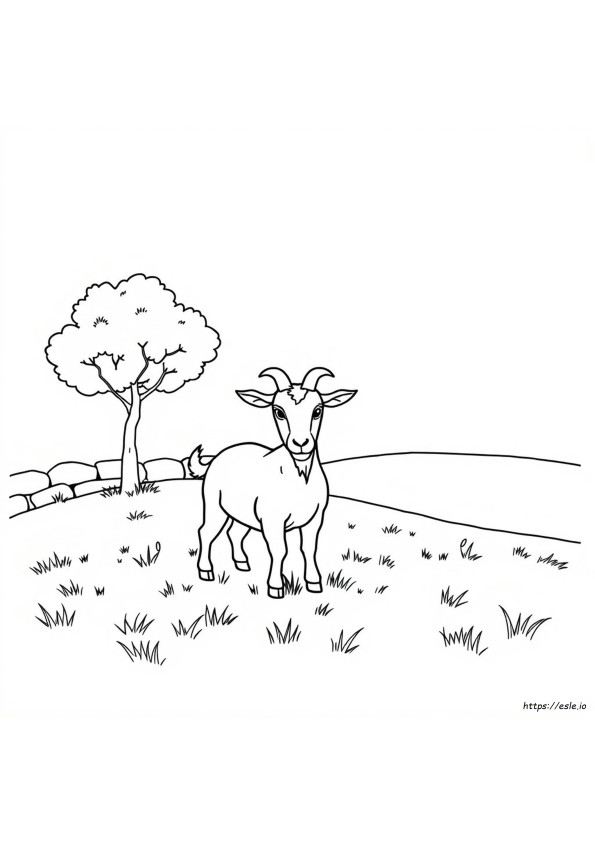 Goat Coloring Pages