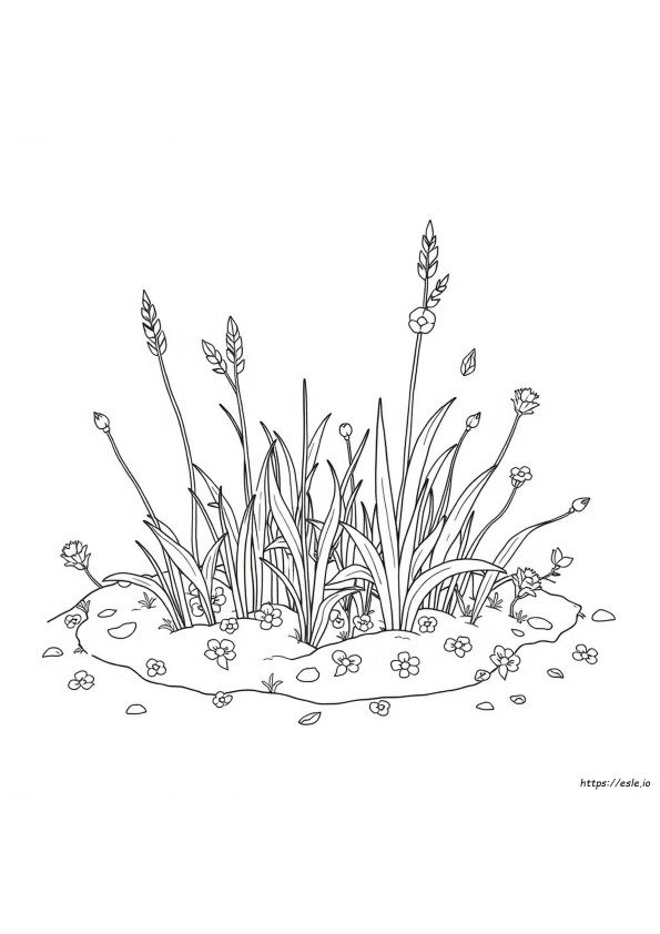 Weed Colouring Pages
