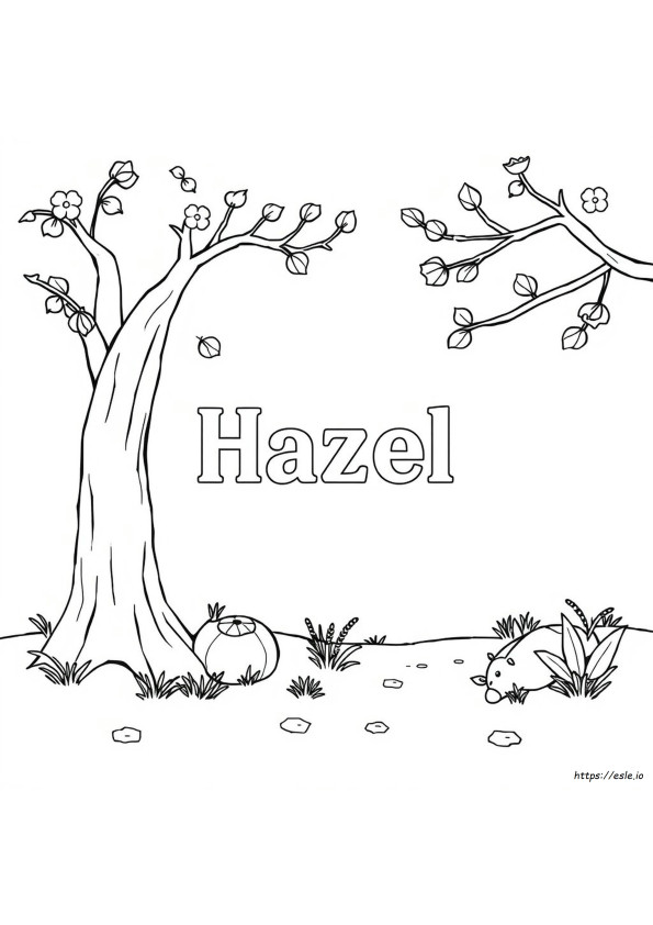 Warna Apa Yang Membuat Hazel?