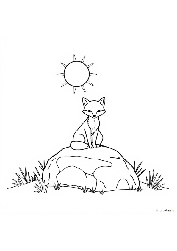 Raposa FCil Para Colorir