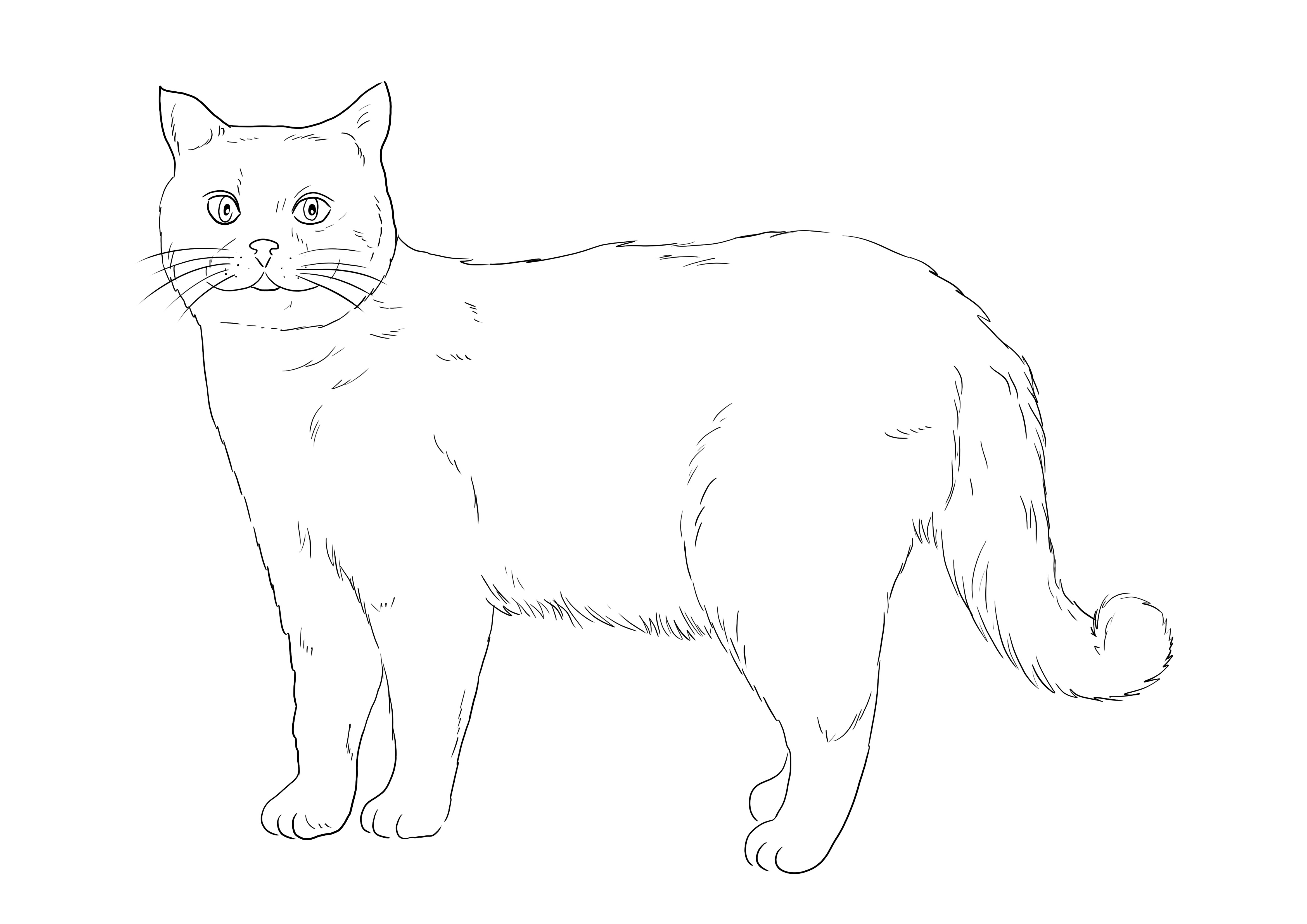 Britanya ile ilgili stenografi kediyi yazdırmak veya sonrası için kaydetmek ve renklendirmek üzere renklendirmek için ücretsiz