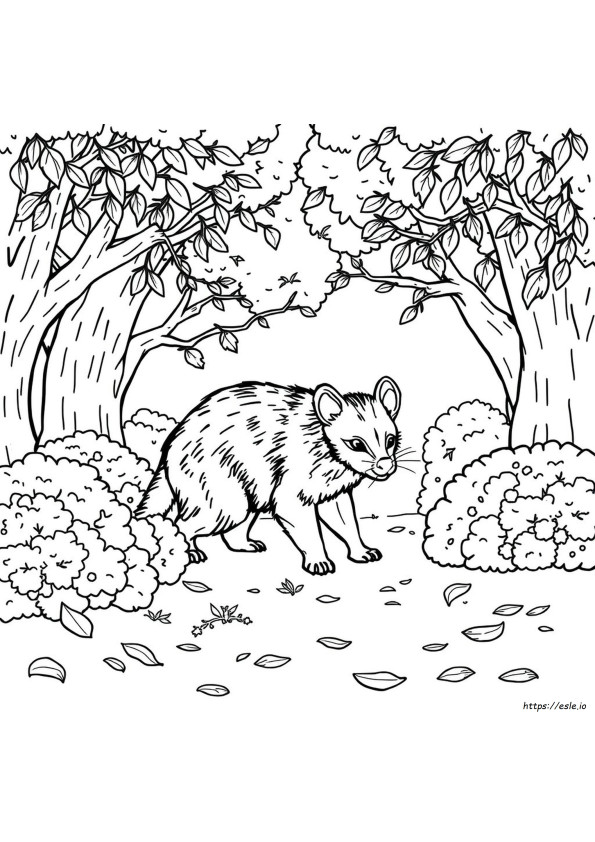 Gambar Mewarnai Tasmanian Devil