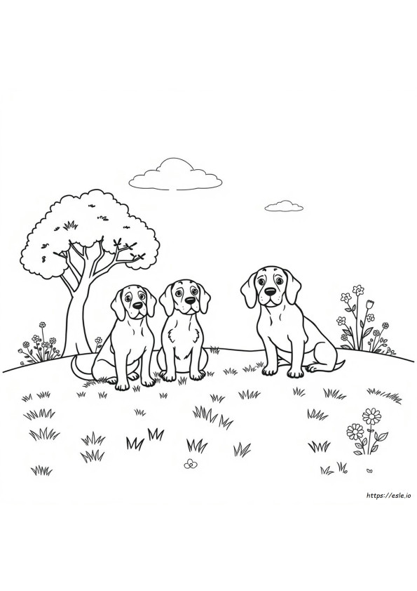 Yazdırılabilir Beagle Boyama Sayfaları